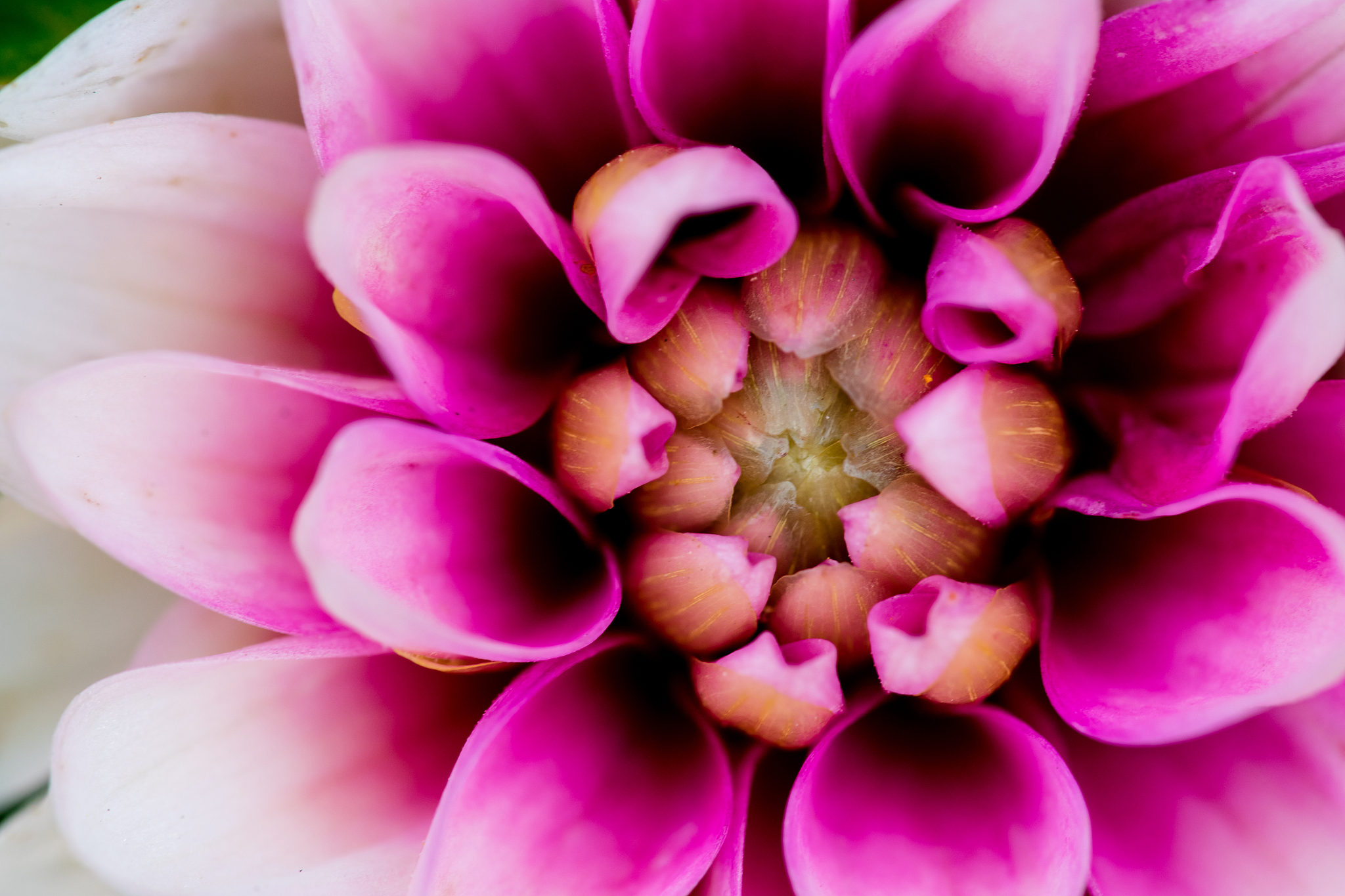 高一数学必修二知识点总结：函数、三角函数、解析几何、数列