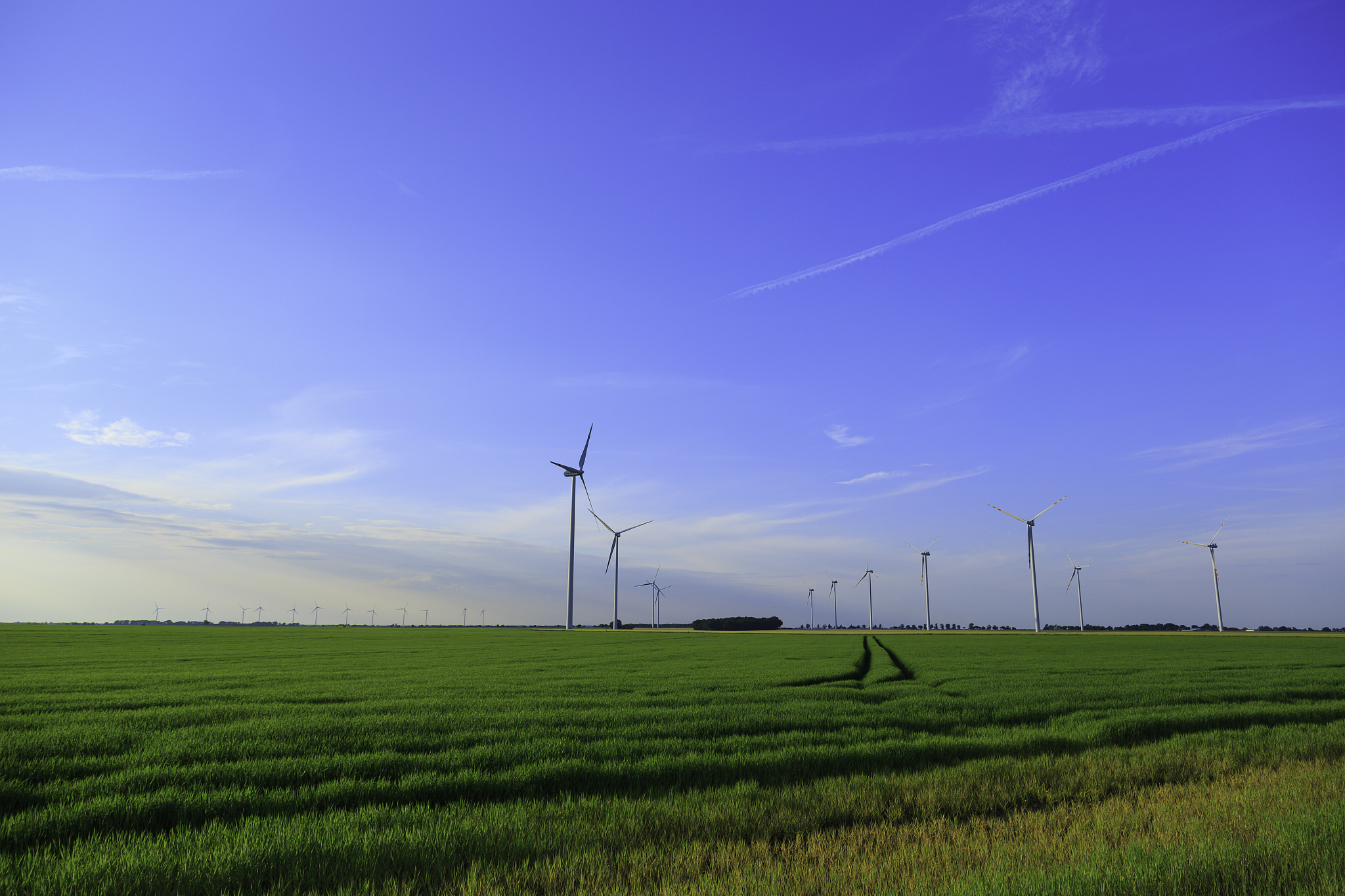 东营技师学院2019年招生专业有哪些？热门专业及发展趋势