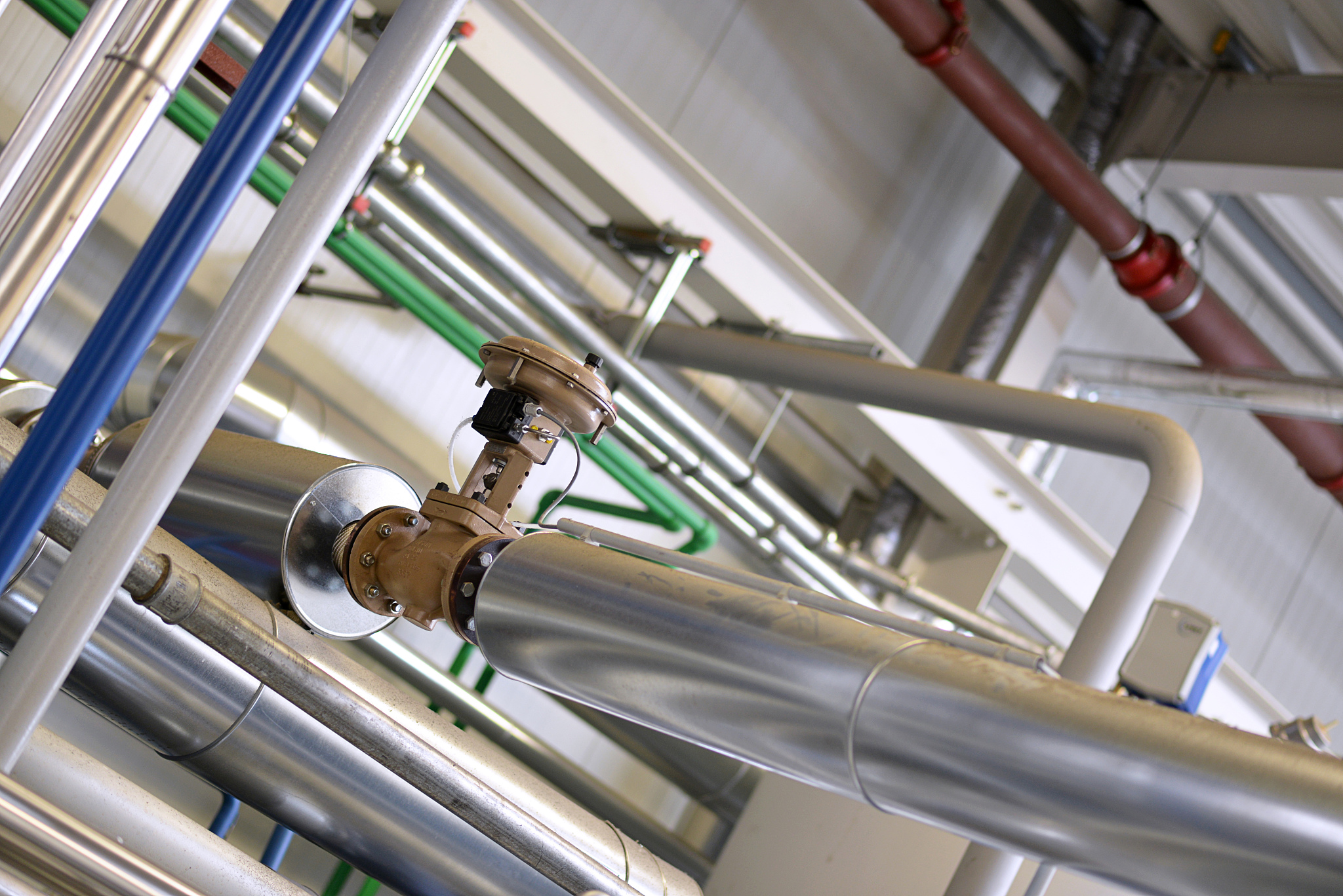 导管是什么？全面解析导管的定义、应用及类型