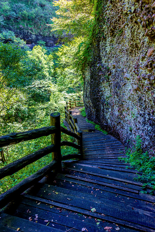 四川广元工贸学校2020年招生报读条件、应注意事项