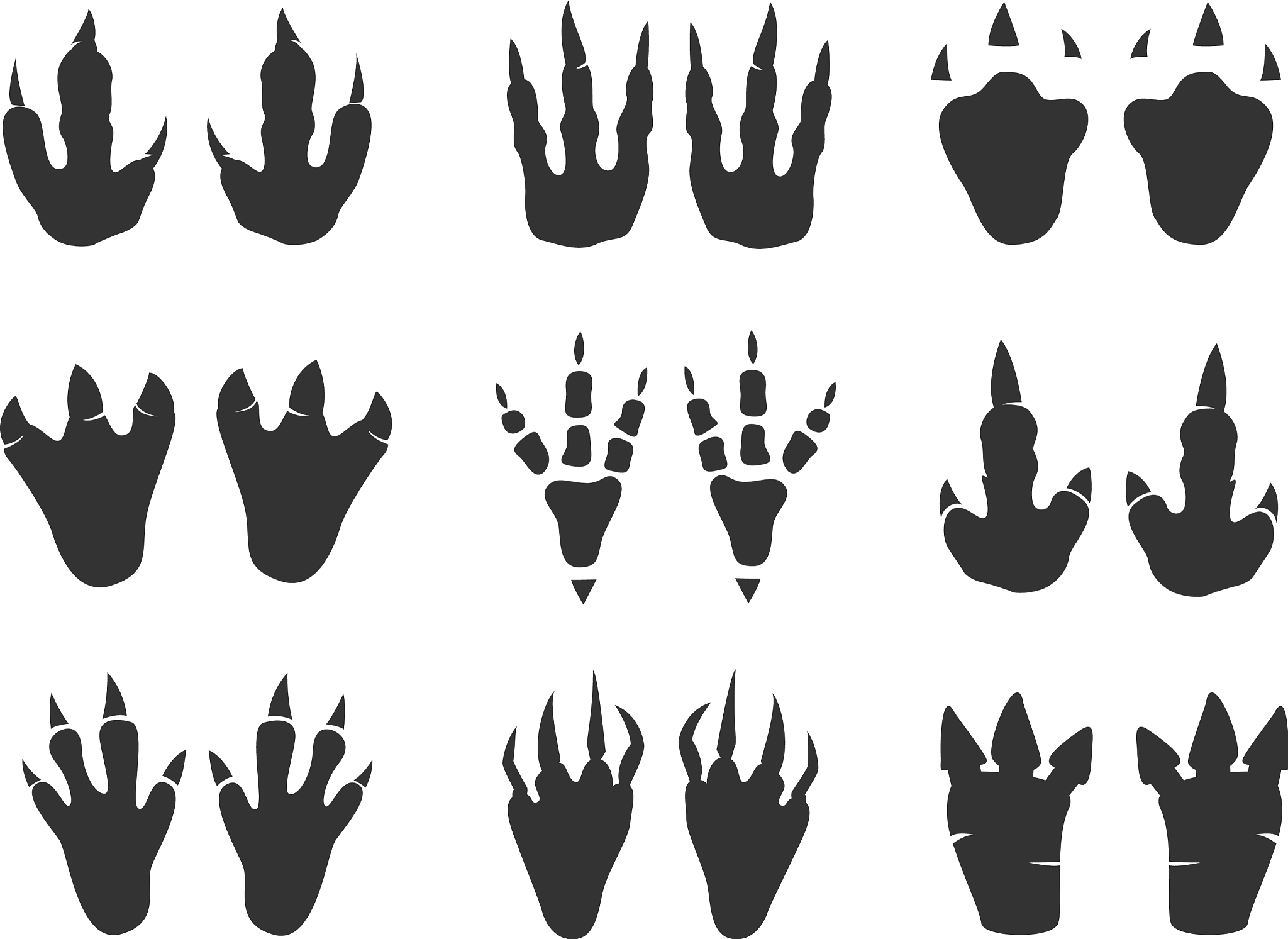 dinosaur print set