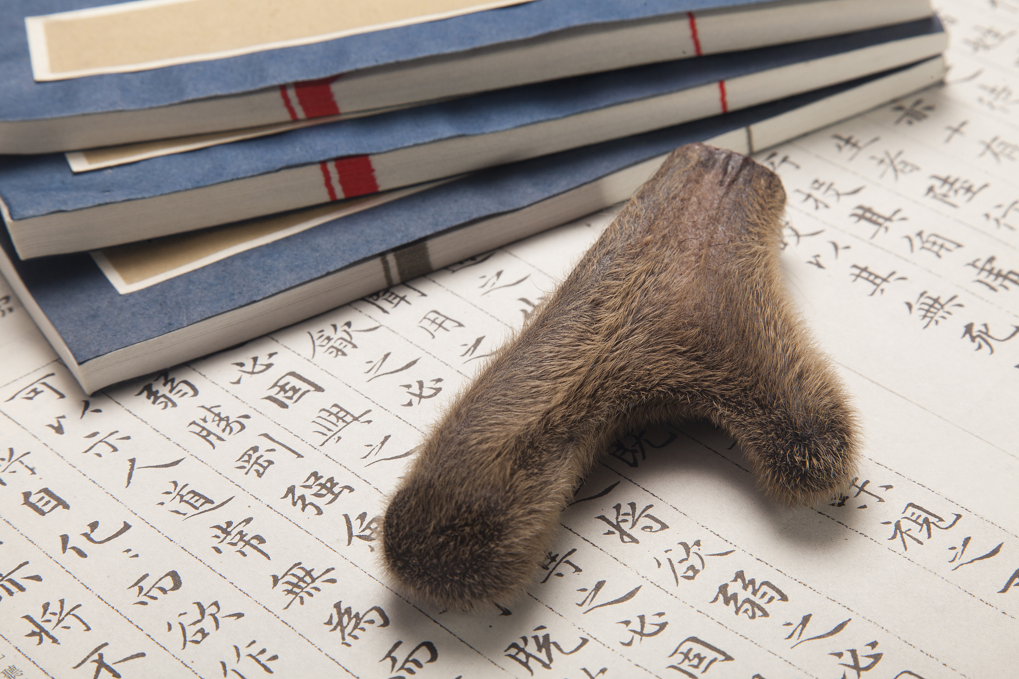 重庆医专中医学专业招生：培养中医人才，传承中医文化