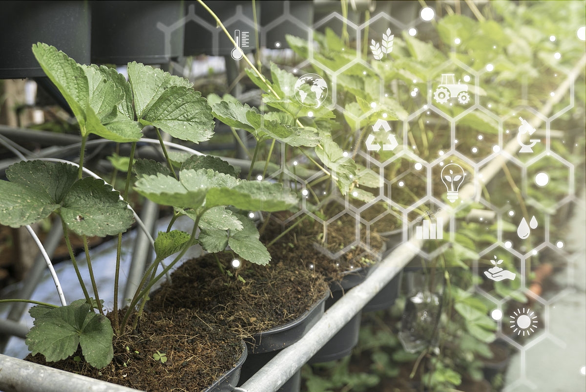 沈阳工业大学工业分析与检验专业怎么样？优势劣势分析