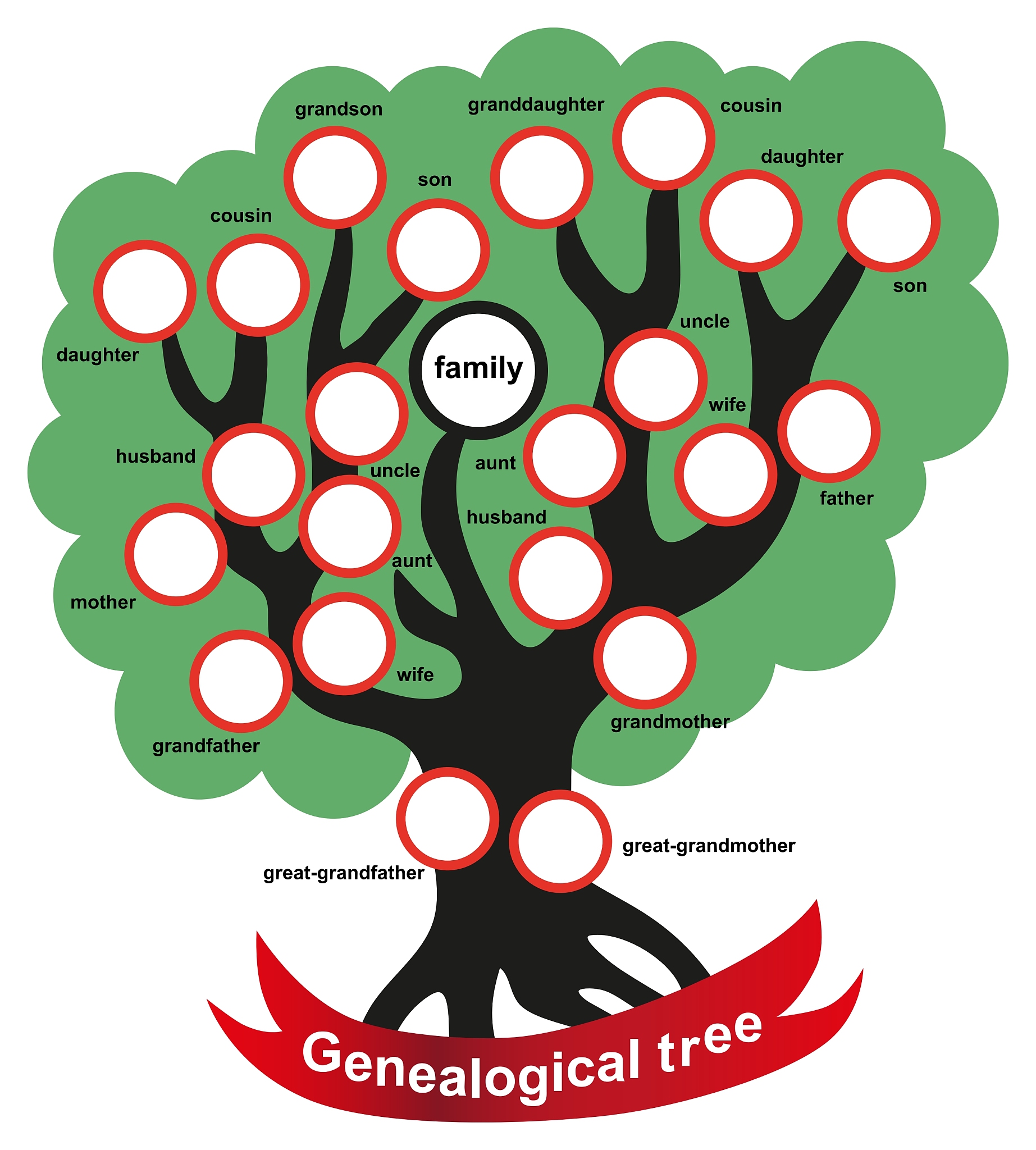 genealogical tree