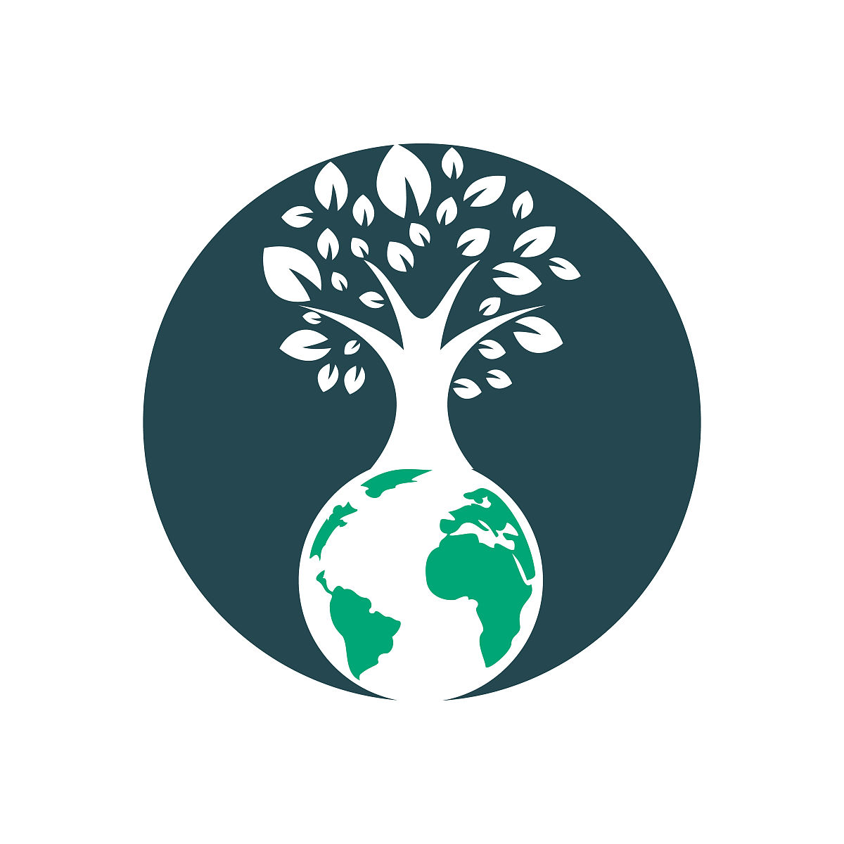 高中化学选修课程模块：知识结构体系及编写特点综述