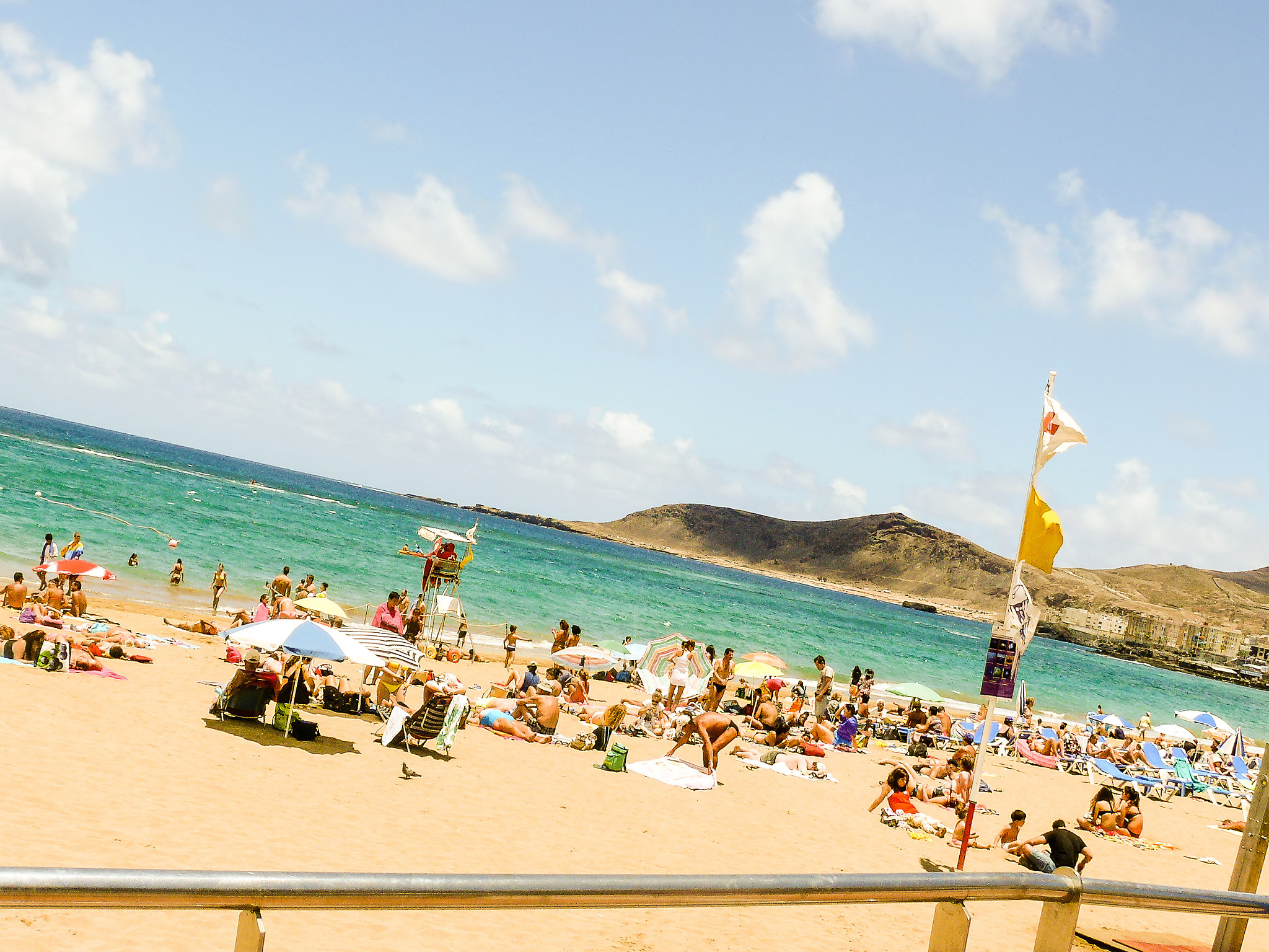 写一篇已夏天为题的中文文章