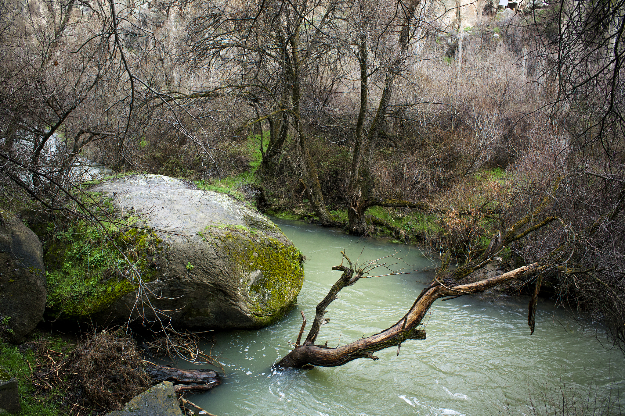 the river