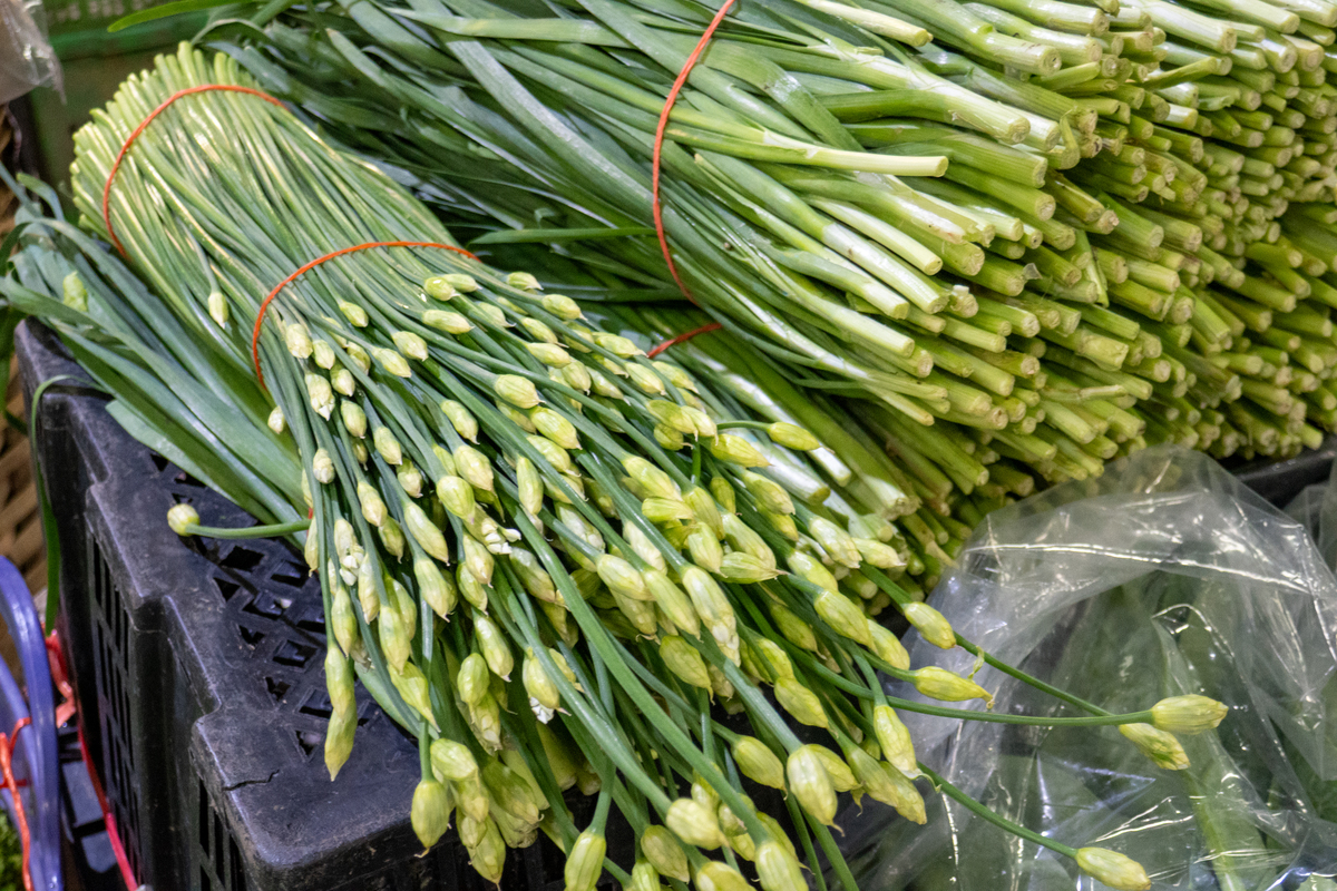 春天储存的葱捆好还是不捆好