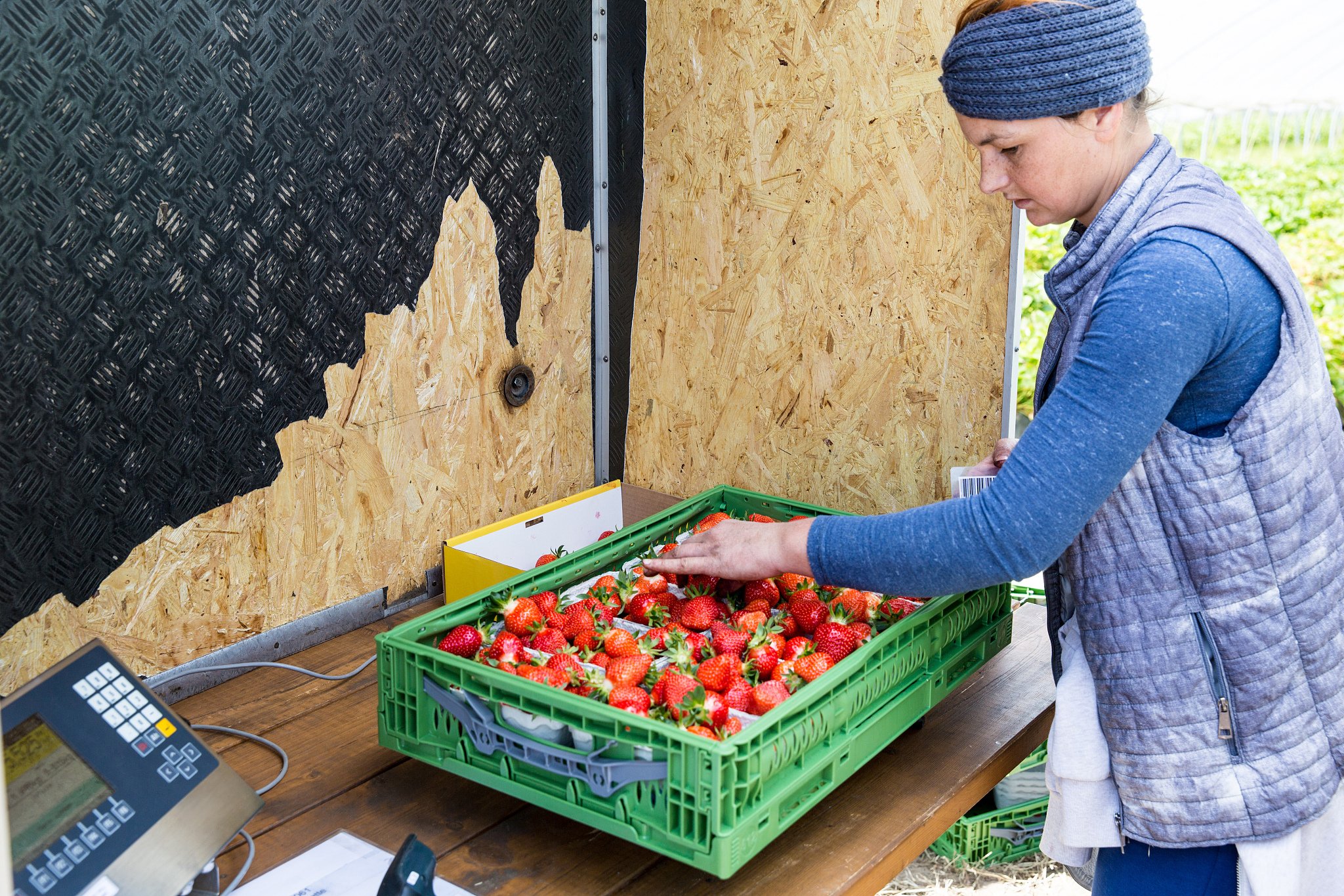 广西农业职业技术学院食品加工技术专业怎么样？优势分析及就业前景