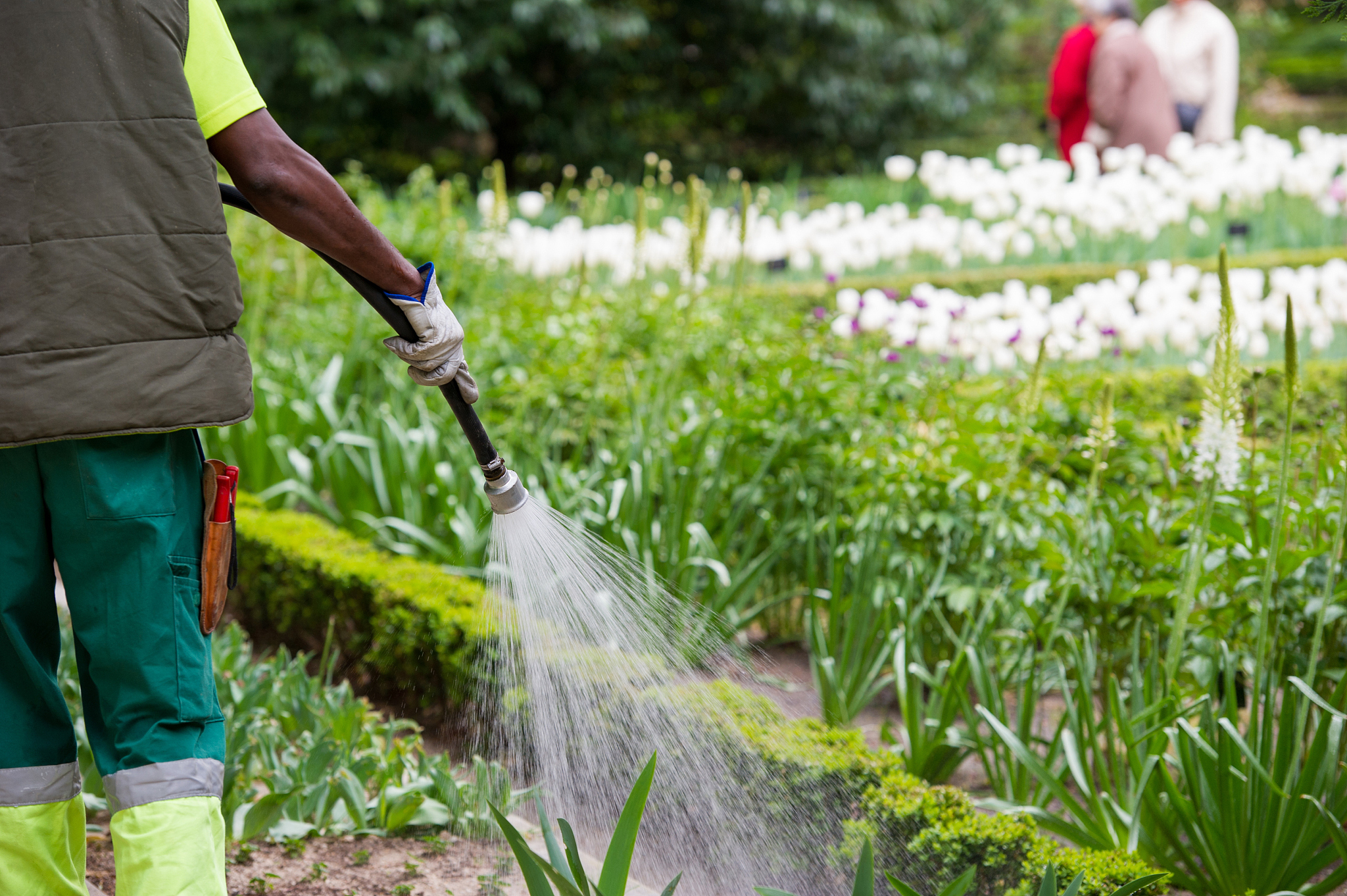 上海农药污染事件：河道管理员违规除草致70亩菜地受损