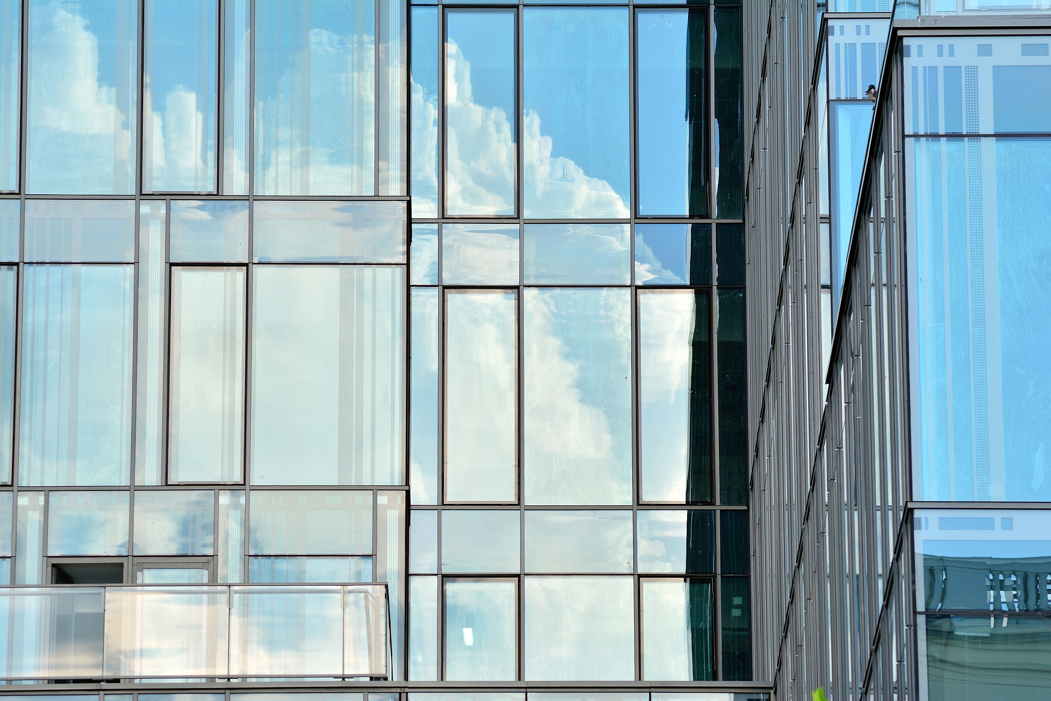 modern office building. glass walls of a office building - busin