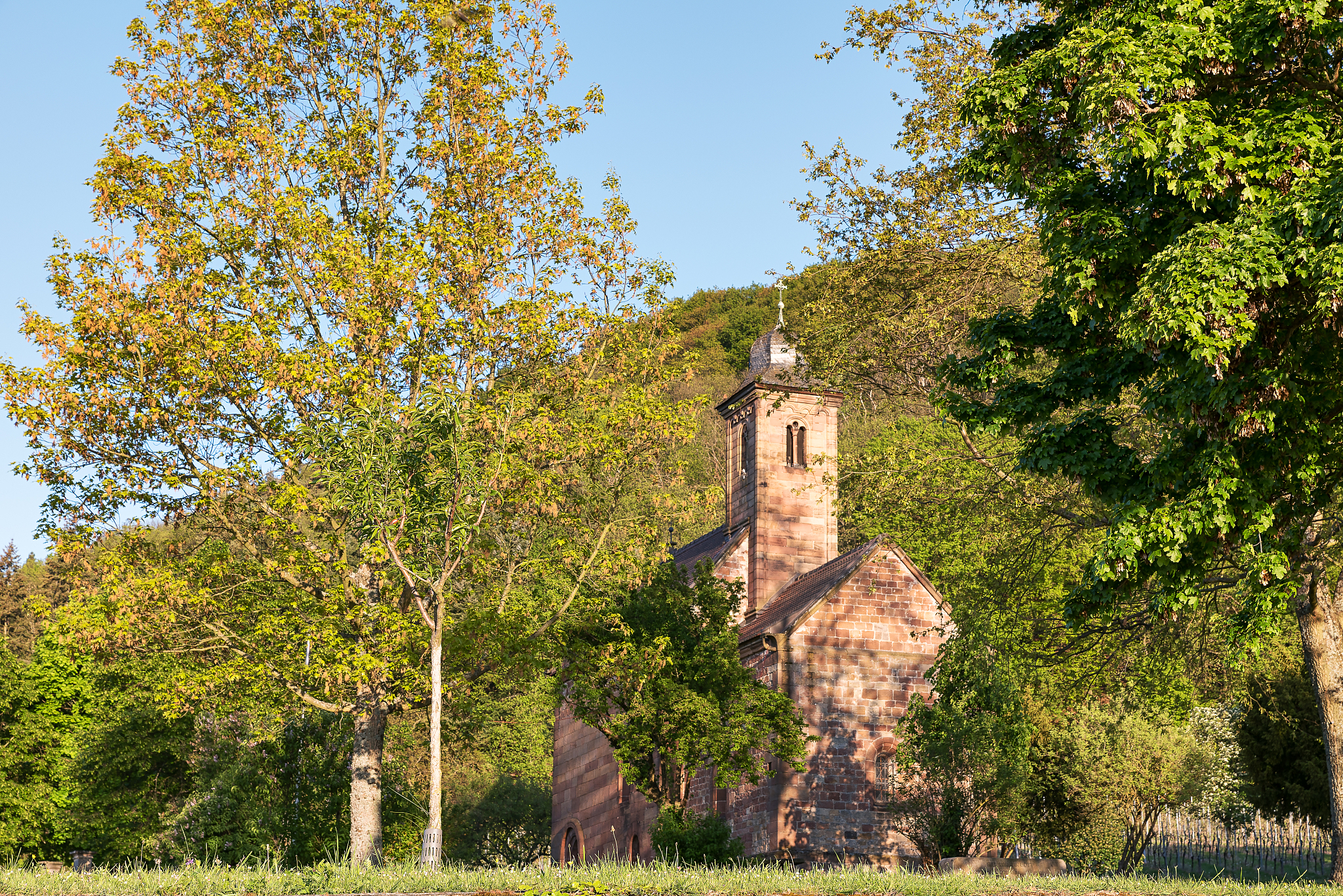 河北对外经贸职业学院应用德语专业都学些什么