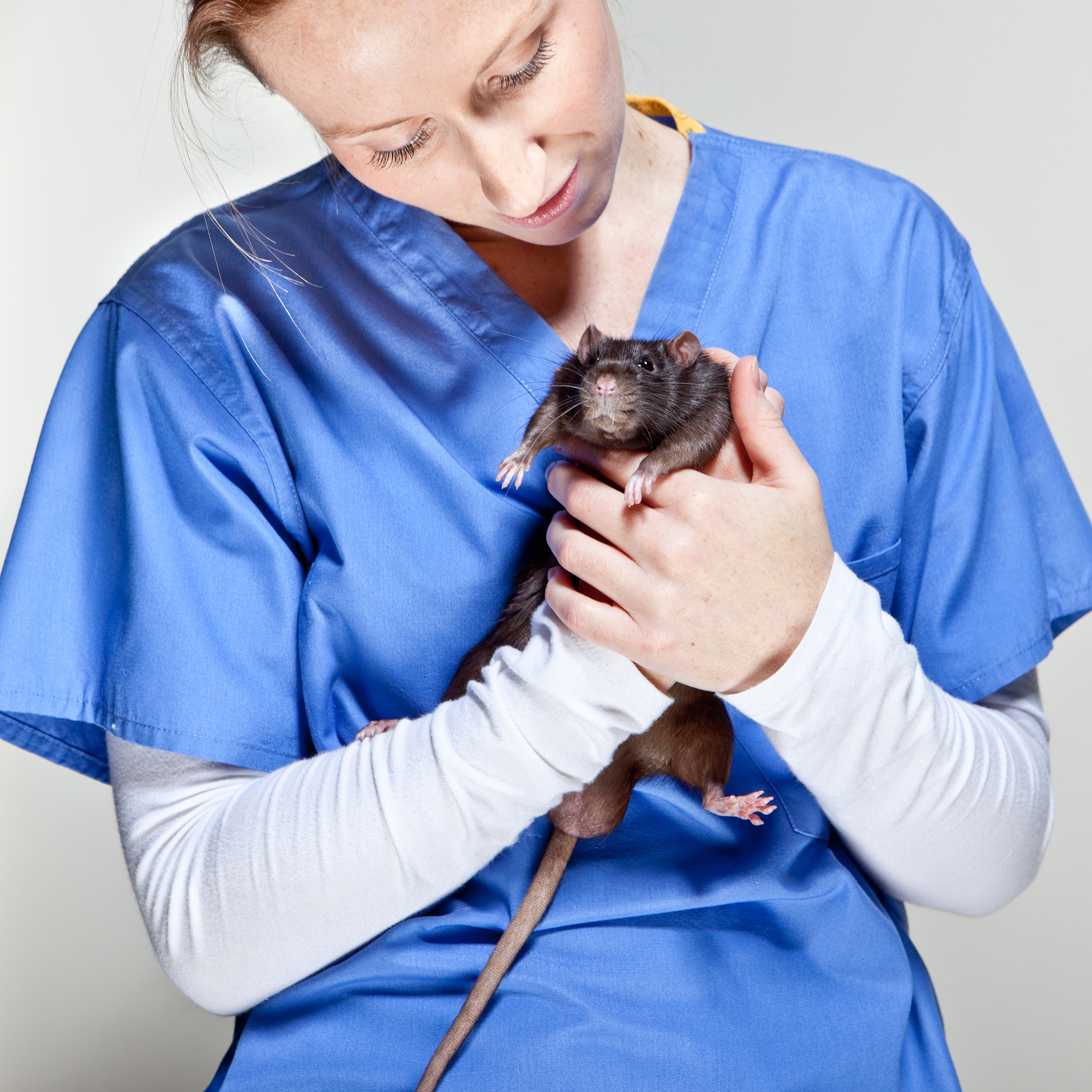 老鼠生病了，能用老鼠药吗？