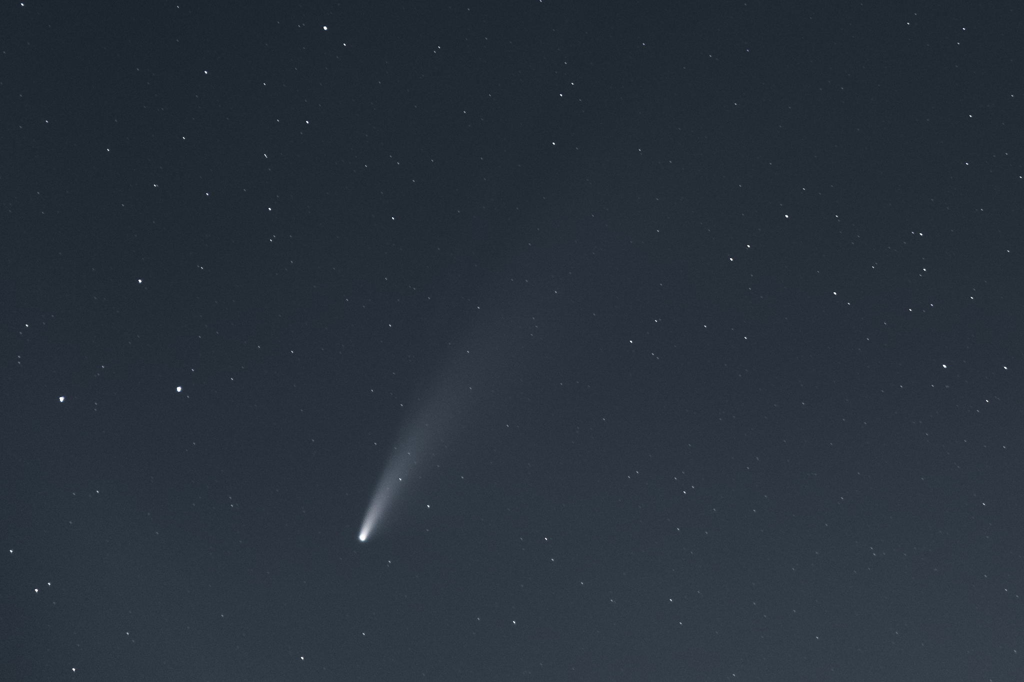 comet neowise
