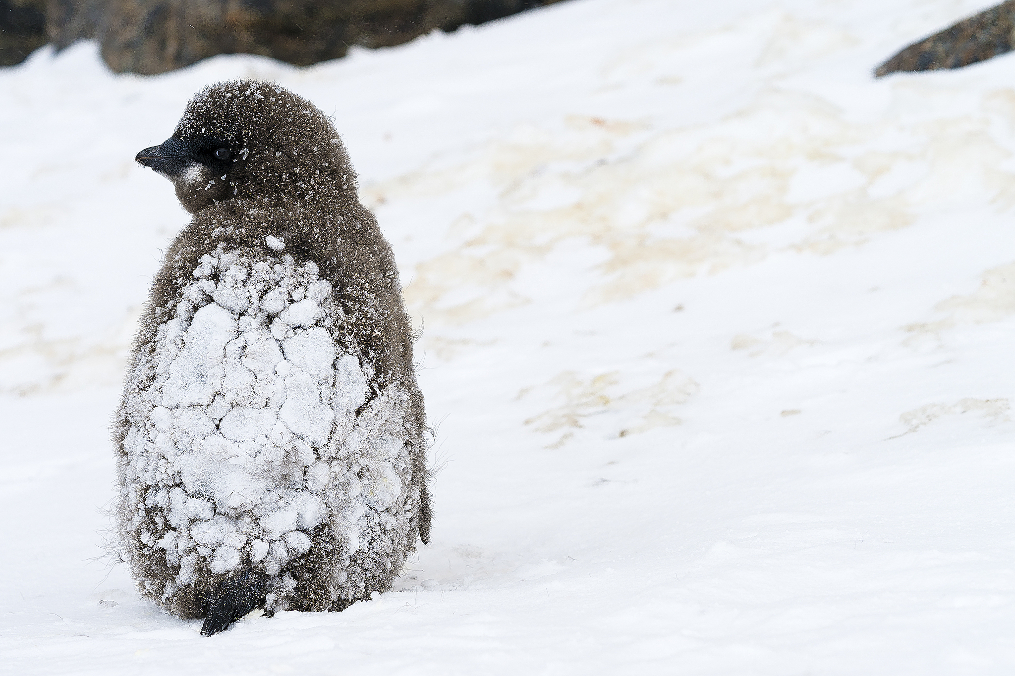 医院信息管理系统设计与实现 - 基于 B/S 架构