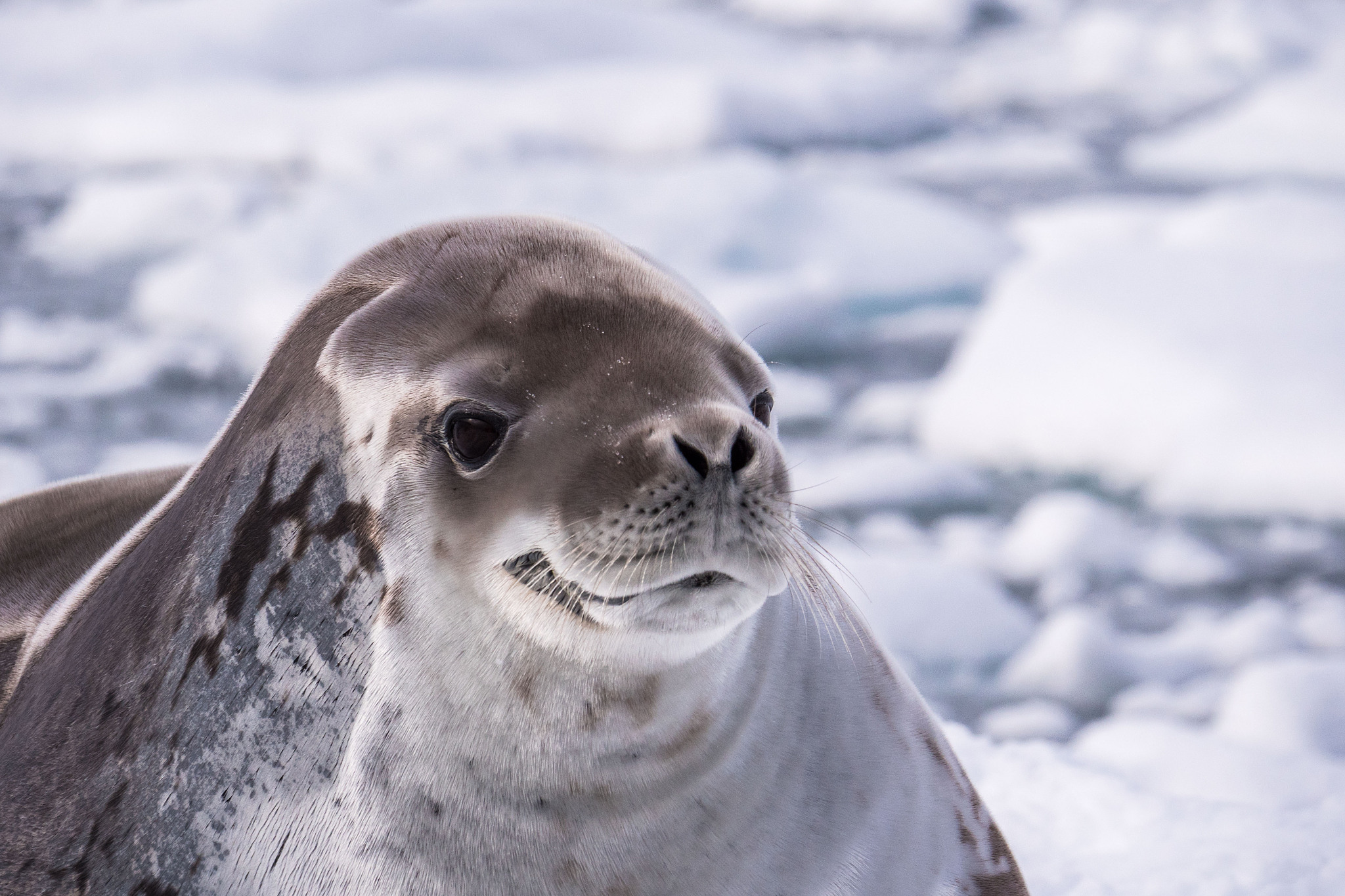 大连海洋学校2022年船舶电气技术专业怎么样？