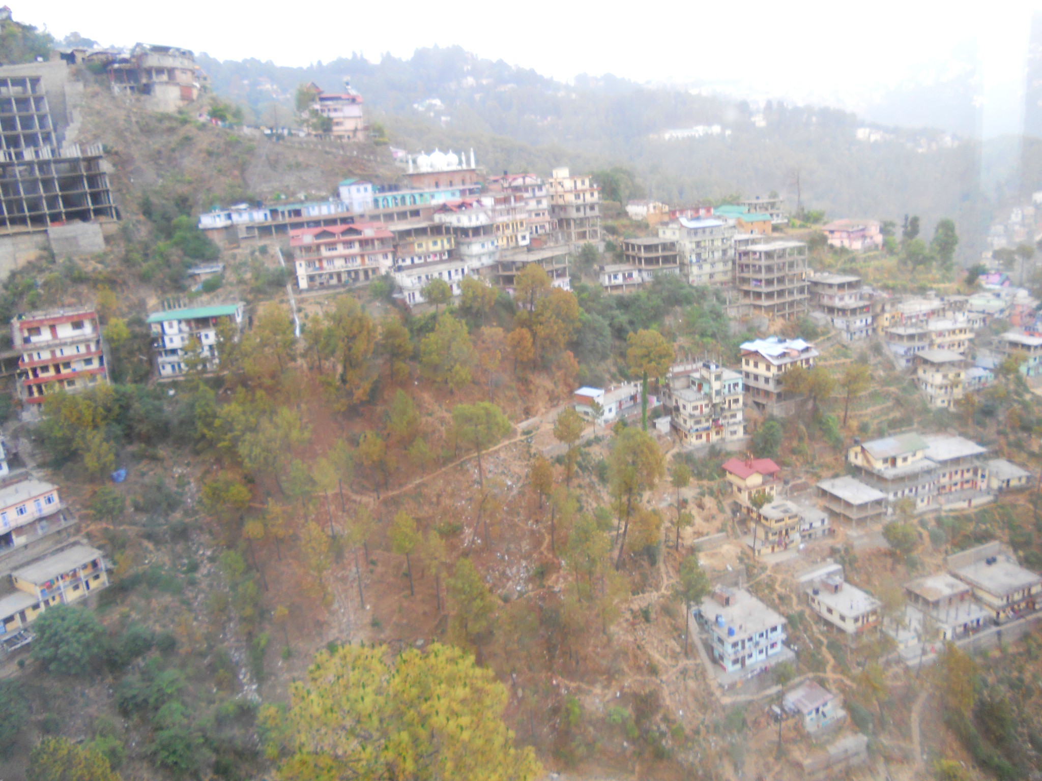 旬阳白柳印象项目地址及详细介绍 - 陕西旅游新地标