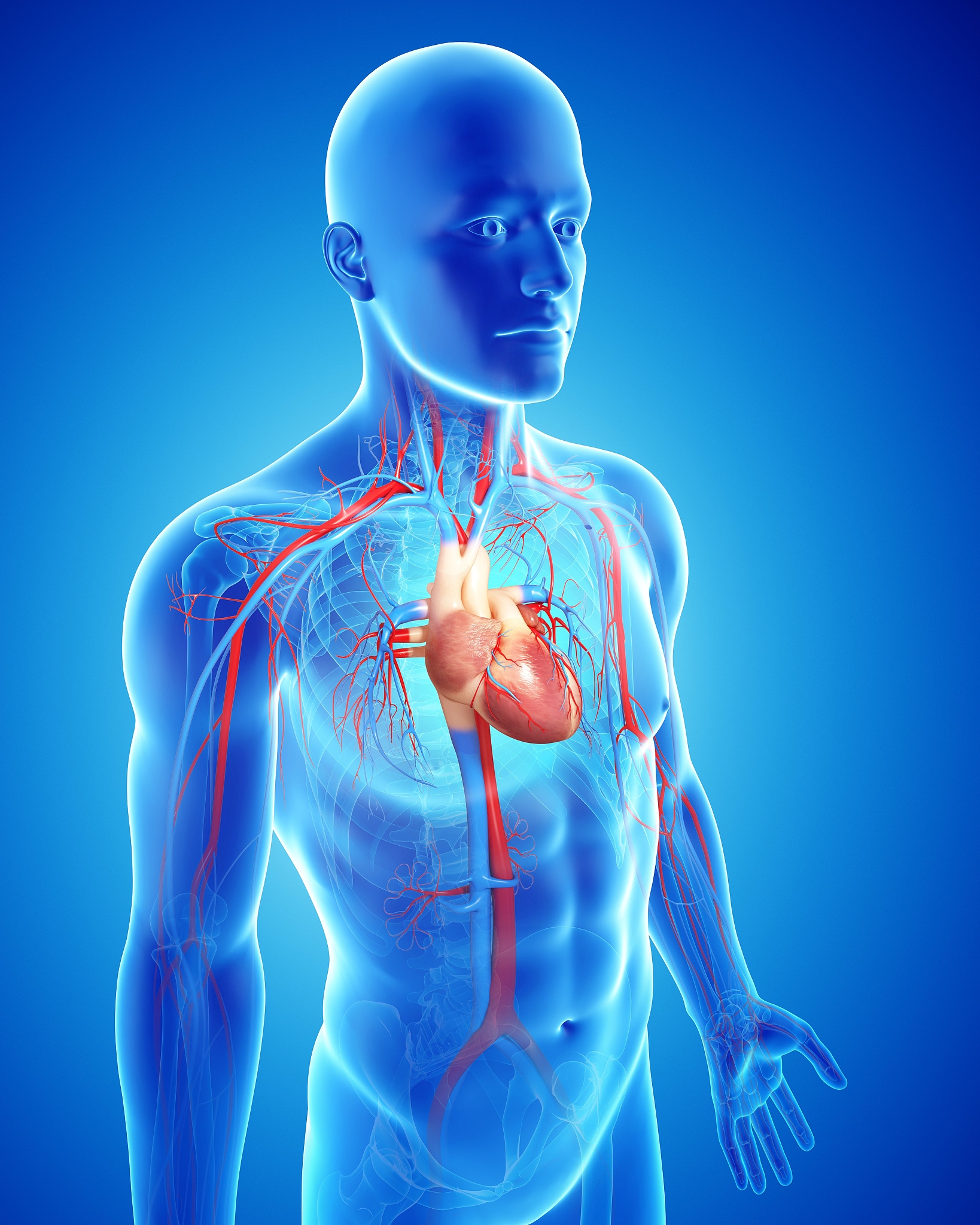 太湖职业技术学校2022年招生专业 - 培养高素质技术人才