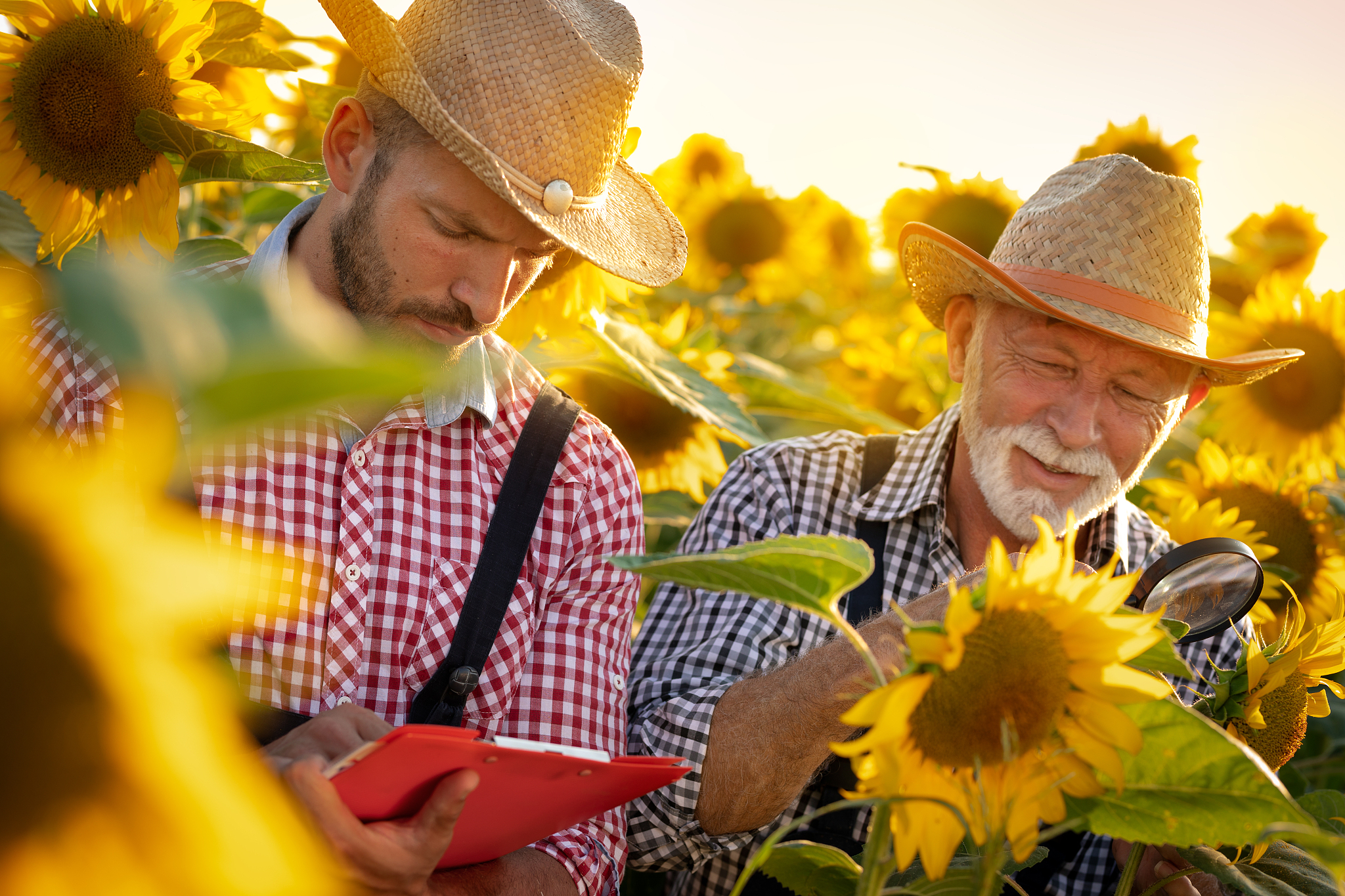 毕节农业学校2021年招生简章 - 培养优秀农业人才