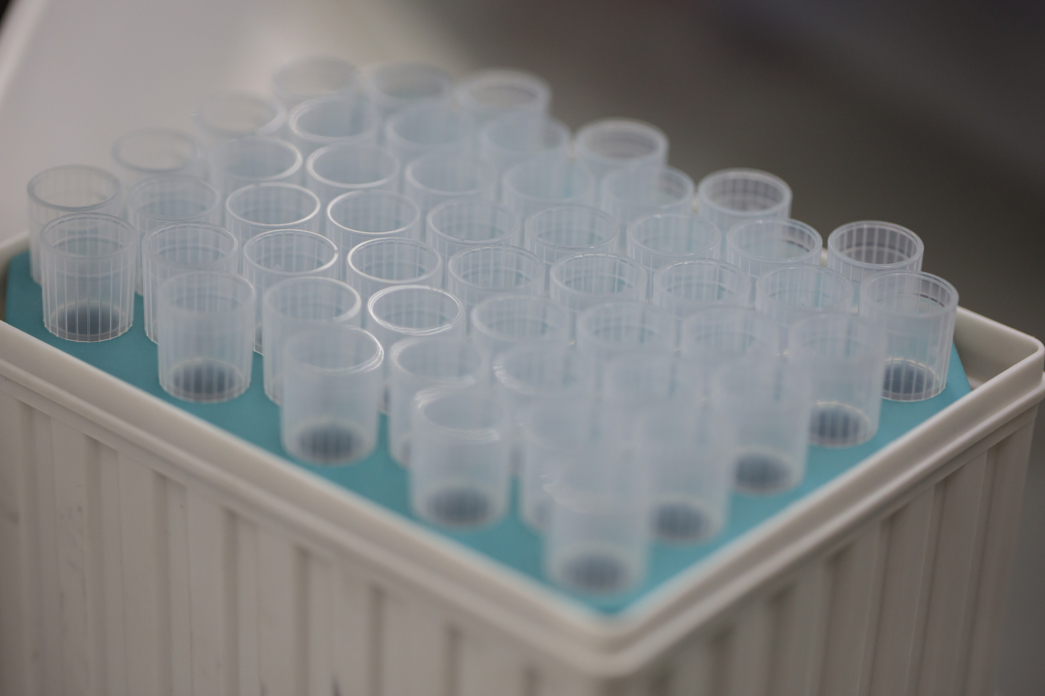 聚乳酸：生物可降解的医用植入材料