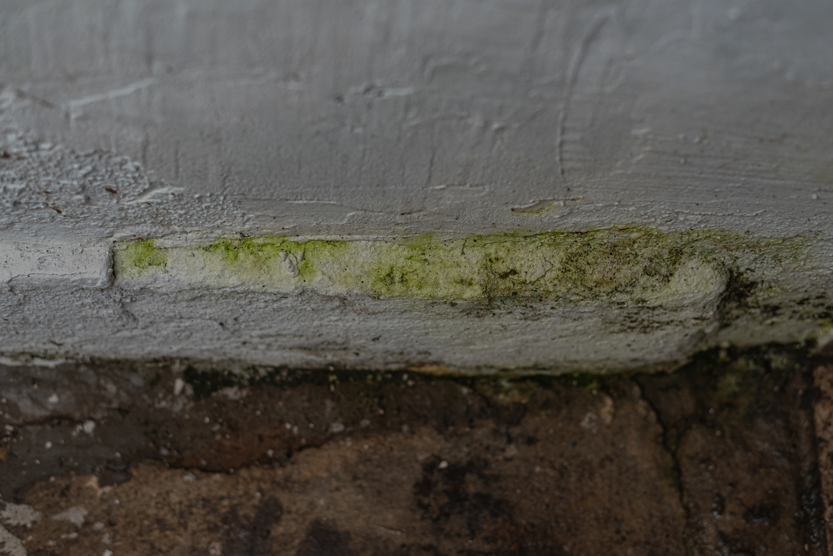 写一篇关于钢筋混凝土结构耐久性研究进展方面的论文综述和学习体会