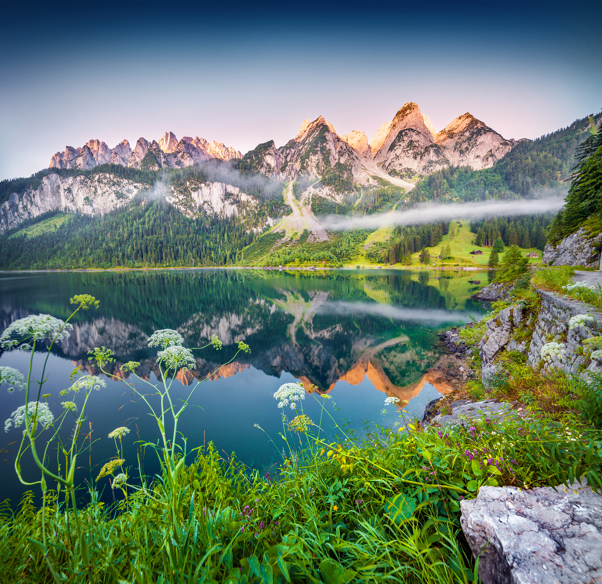 照片太美了！感受自然之美，珍惜这片家园