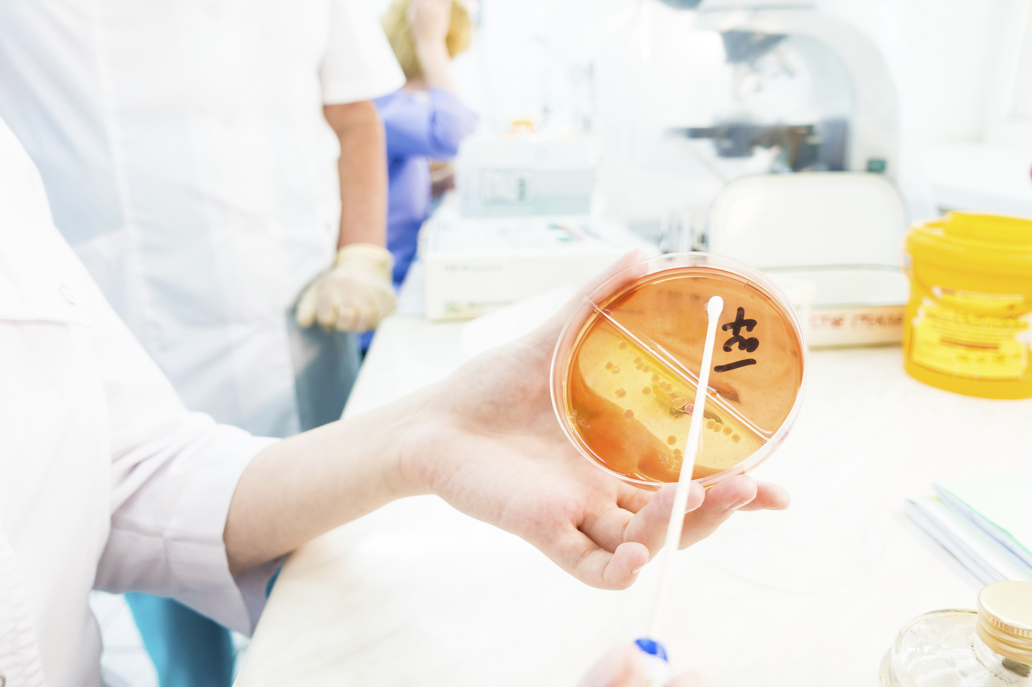 直径10cm的培养皿铺满细胞时细胞数大概是多少假定细胞全覆盖