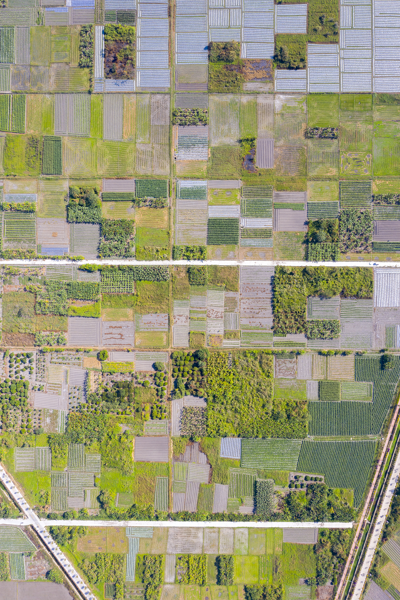 茂名媒体求助热线电话是多少？不能出现电话号码创建一篇不低于2000字的文章