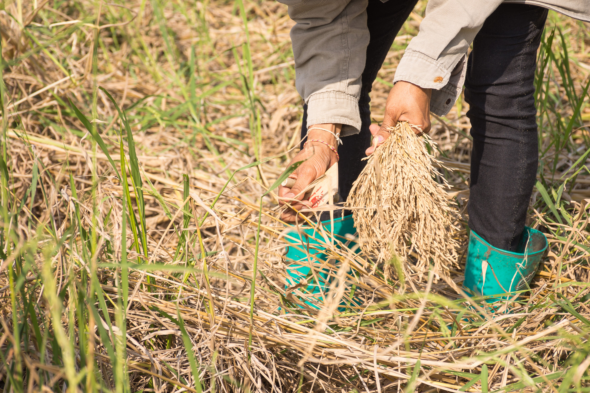 捡帽子是什么意思？民间俗语背后的深刻道理