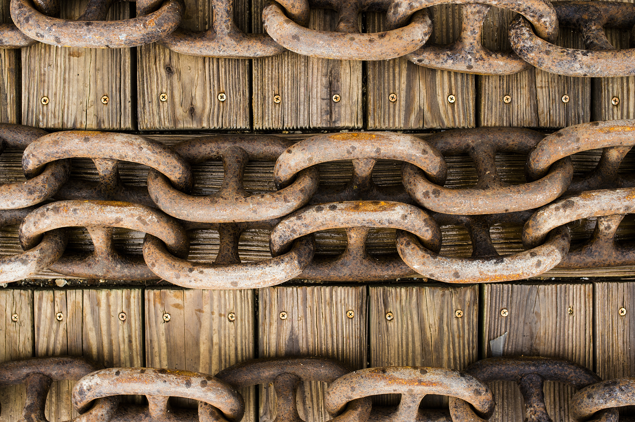 YOLOv5 6.0 版本指定位置生成 Anchor 指南