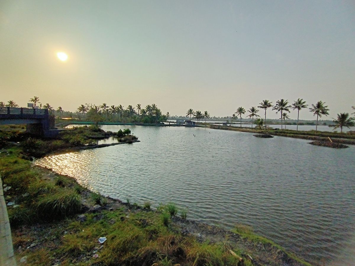 武汉蓝玉项链生态公园溪流揭秘：探寻蓝玉溪的清澈与美丽