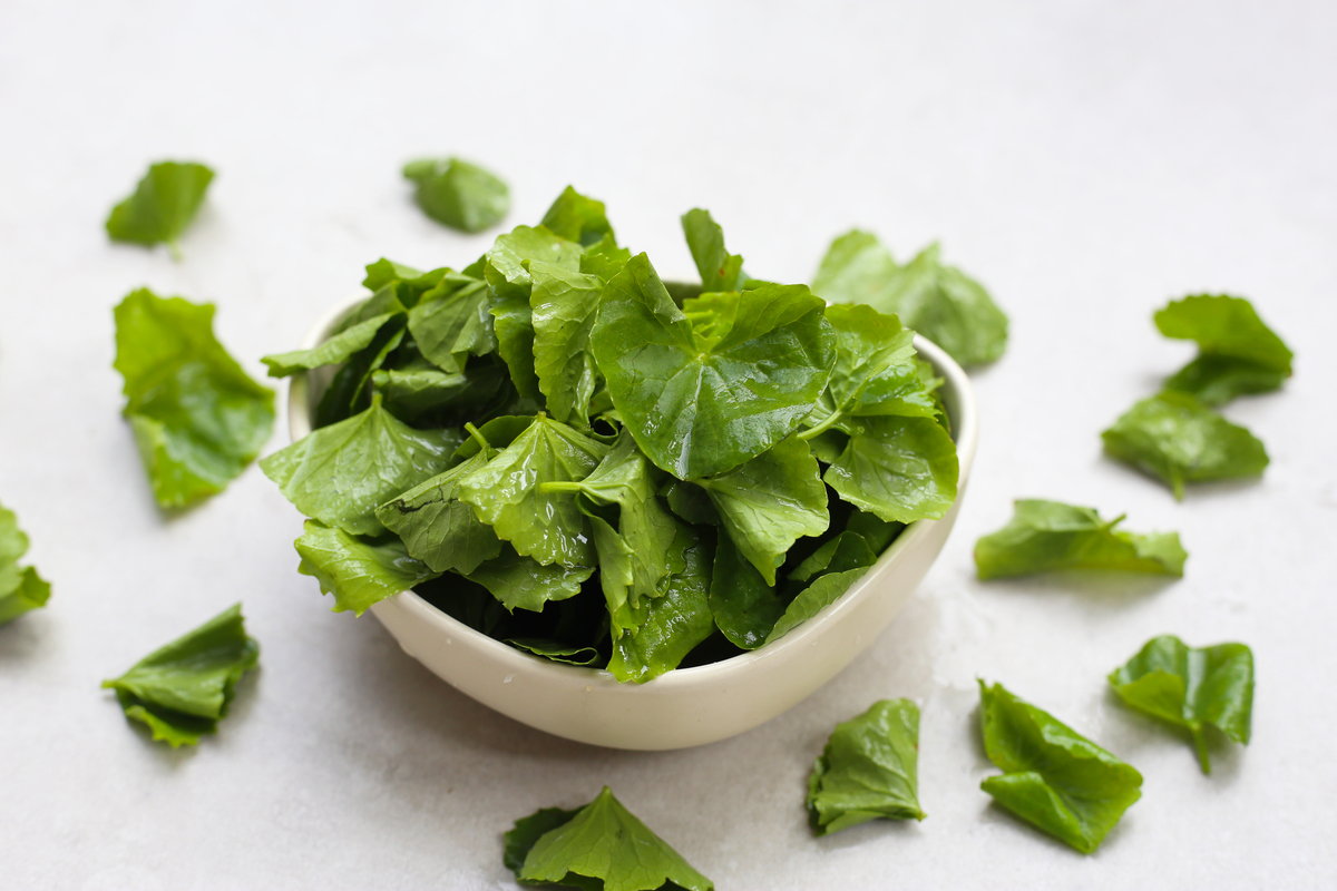 优化一下内容：体内寒气多饮食生活无规律未节制让外邪入侵胆汁减少部分逆行入胃产生胃的不适根在胆抽空到田间刨些带根的苦菜开紫色花产地江苏灌南取适量加水煮之入些许红糖清淡少油少食生冷油辣之物