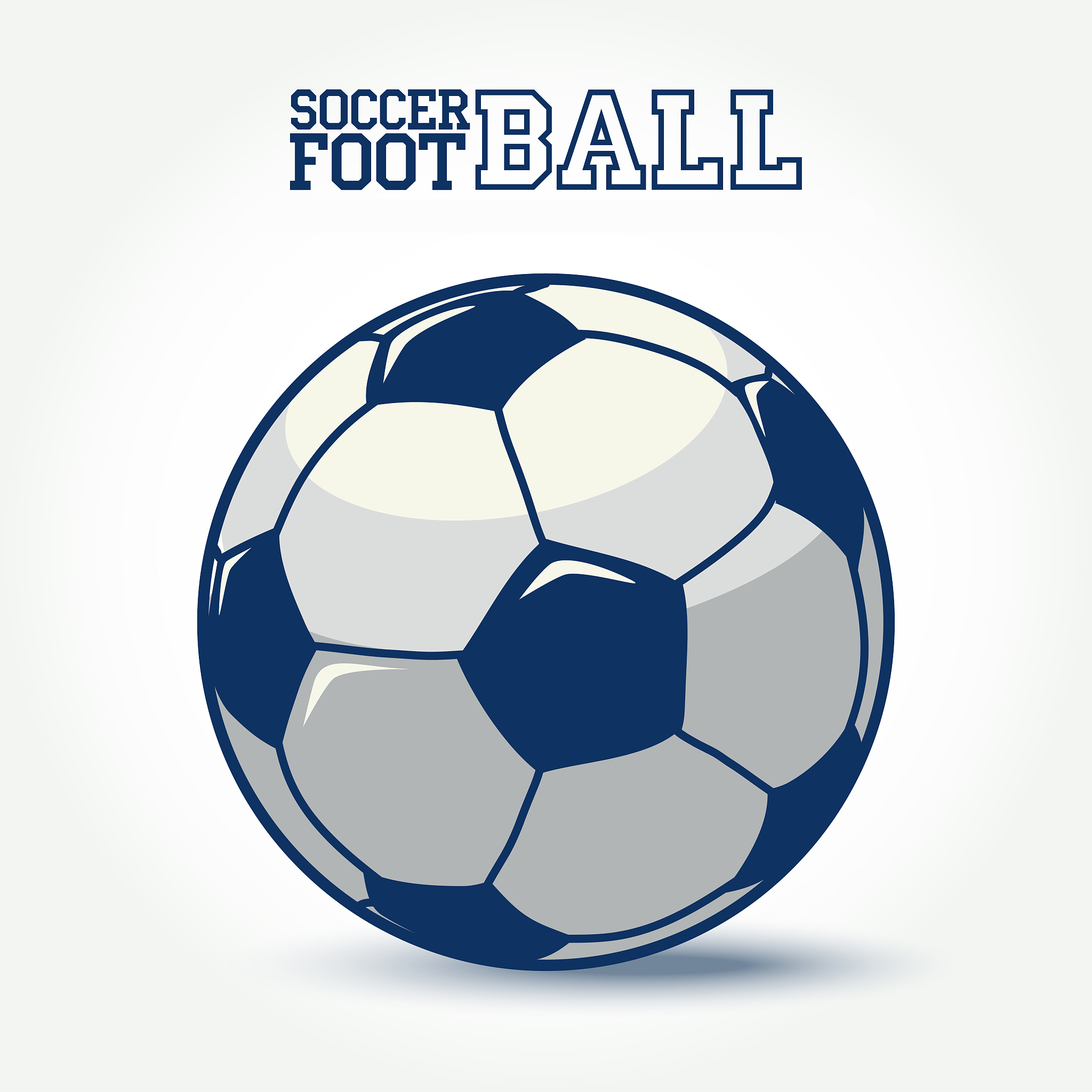 soccer ball icon