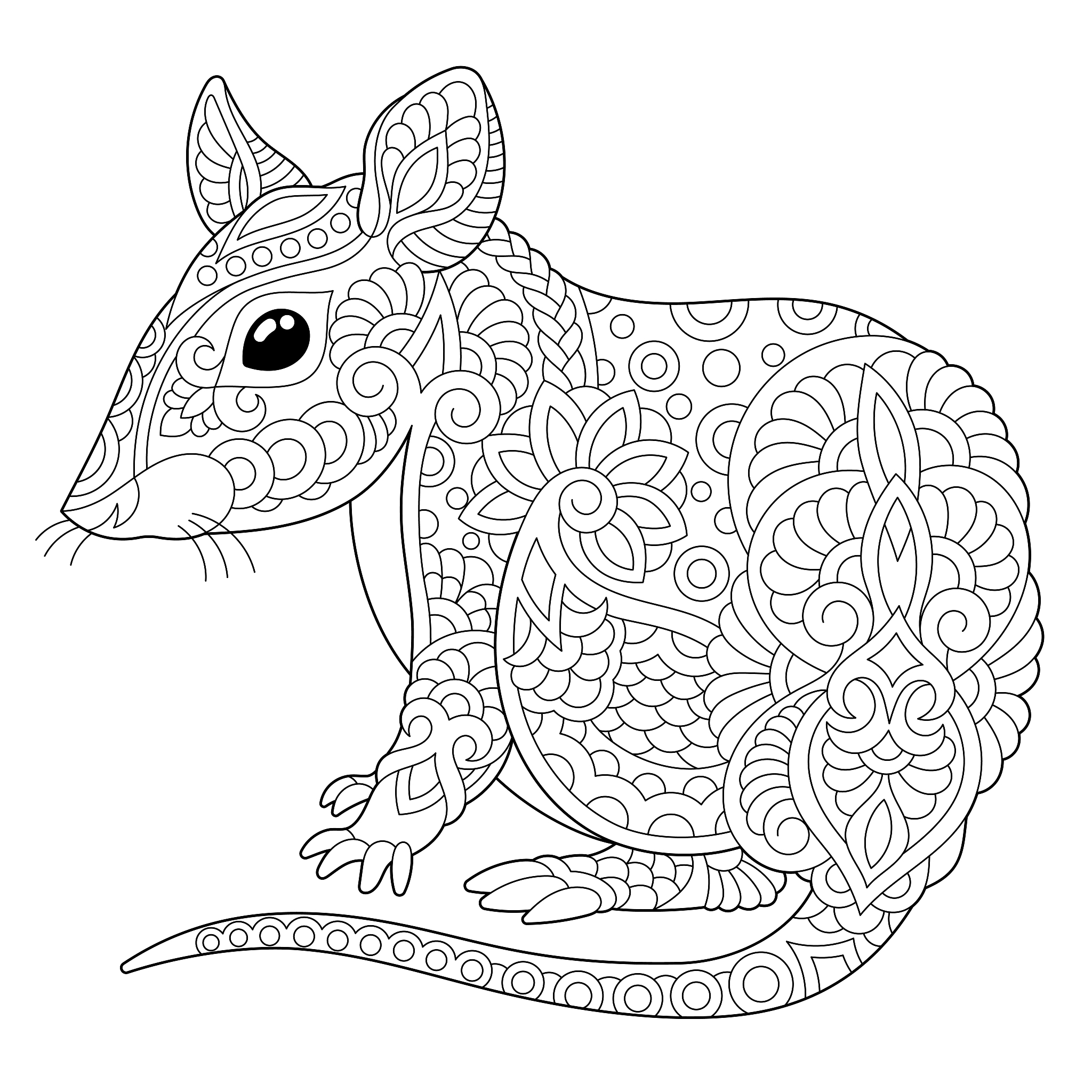 生肖鼠顾家吗用250字帮我详细描述