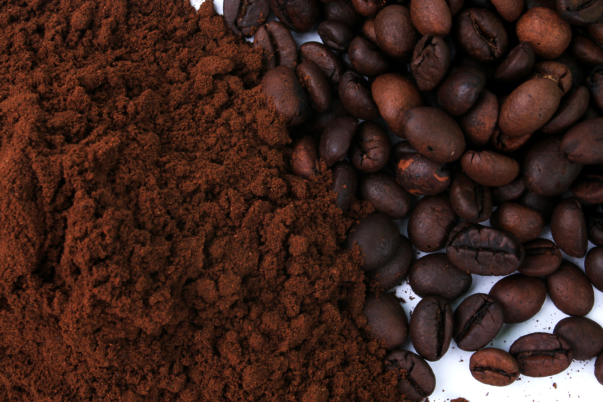 农科院黑咖啡脚本