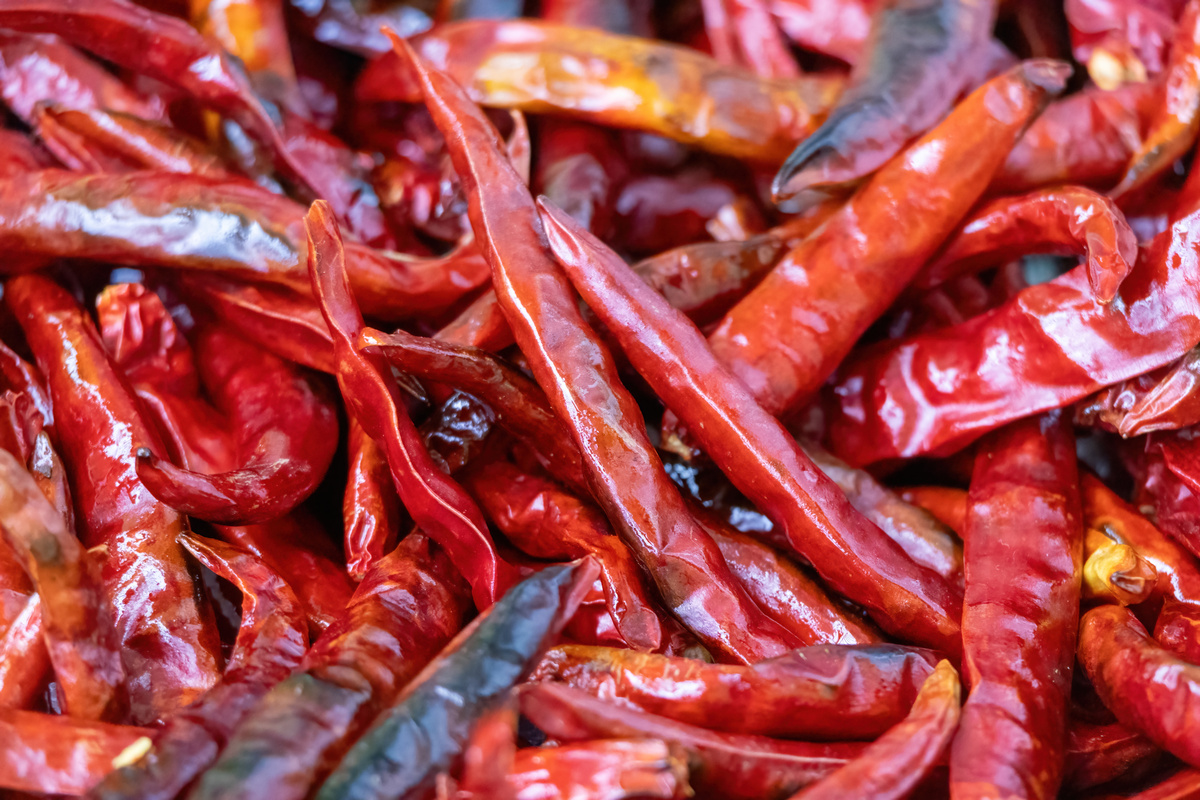 朝天椒 - 四川特产，辣味调味之王