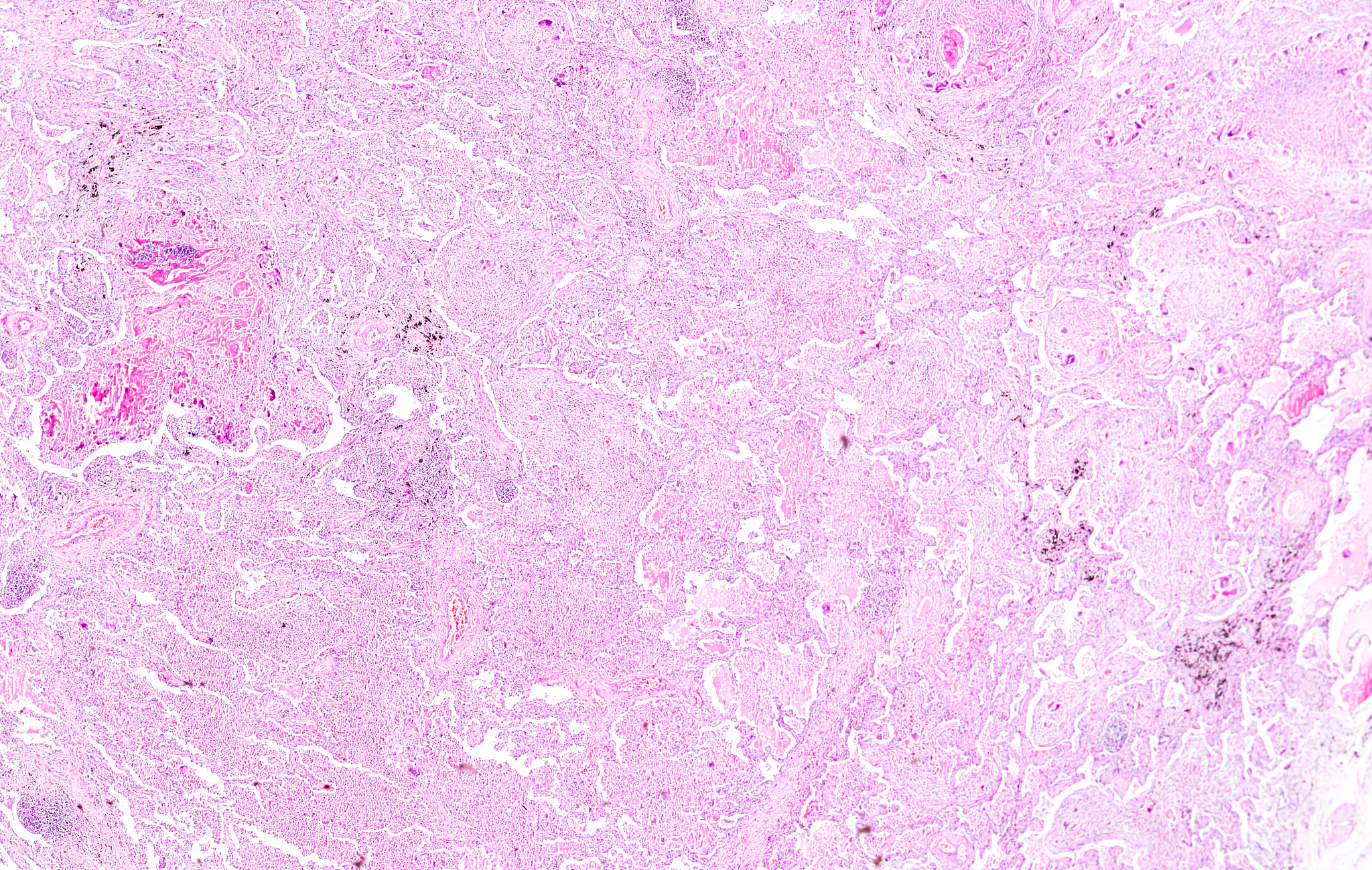 课程实践教学规划与建设：全面提升教学效果