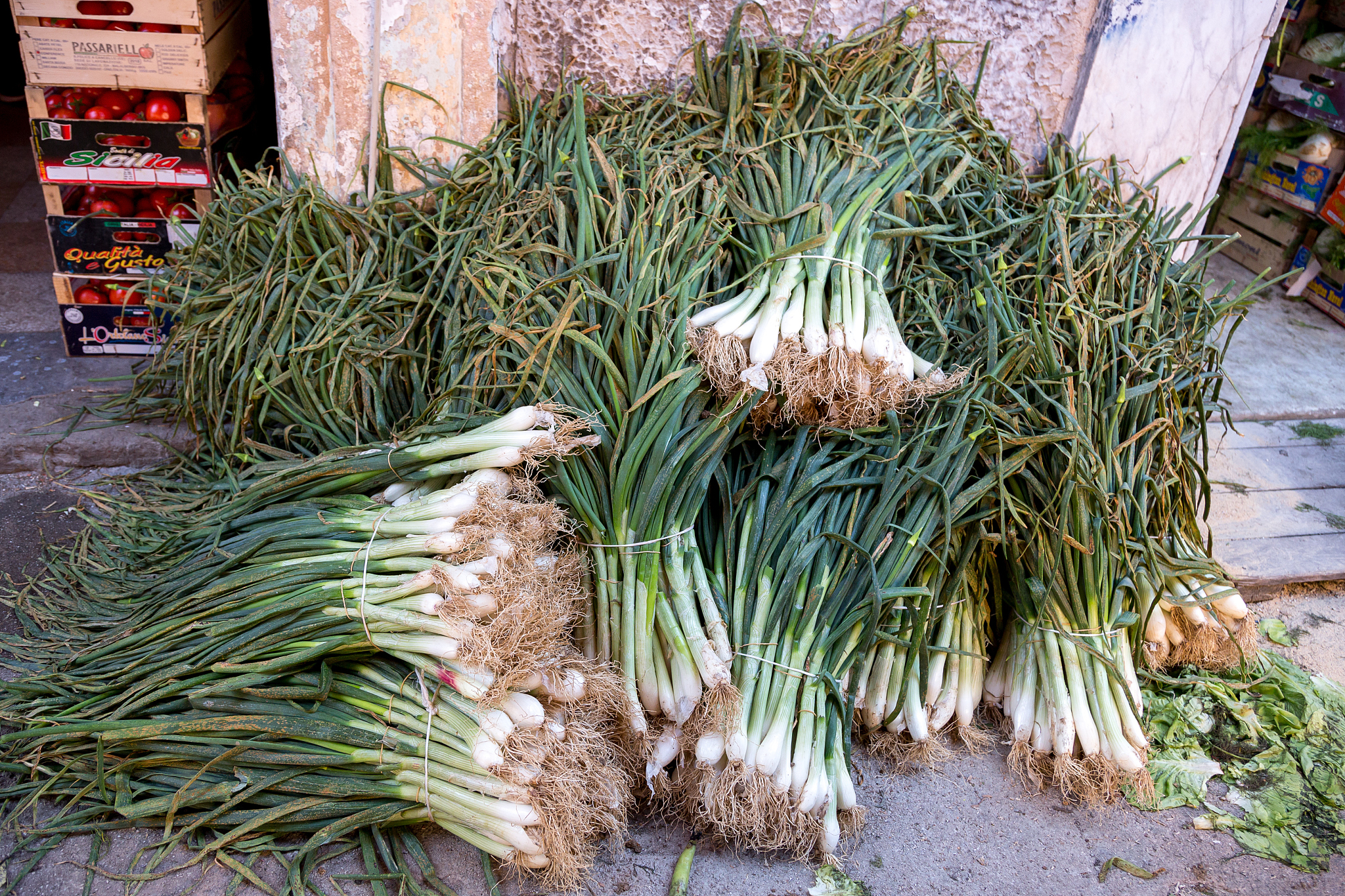 green onion bunches