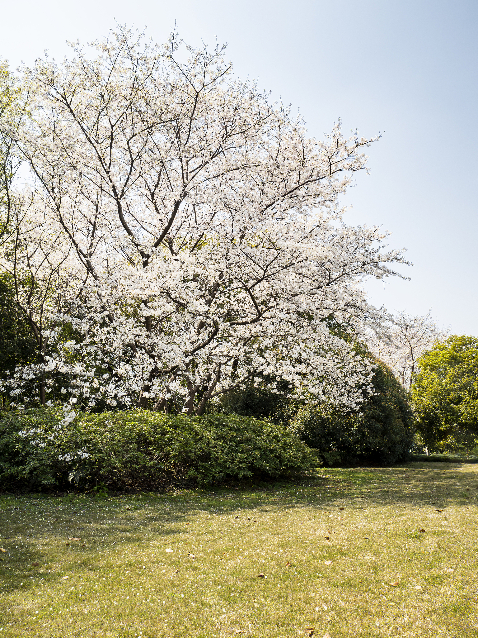 杭州媒体曝光求助热线：400-123-4567 为您排忧解难！