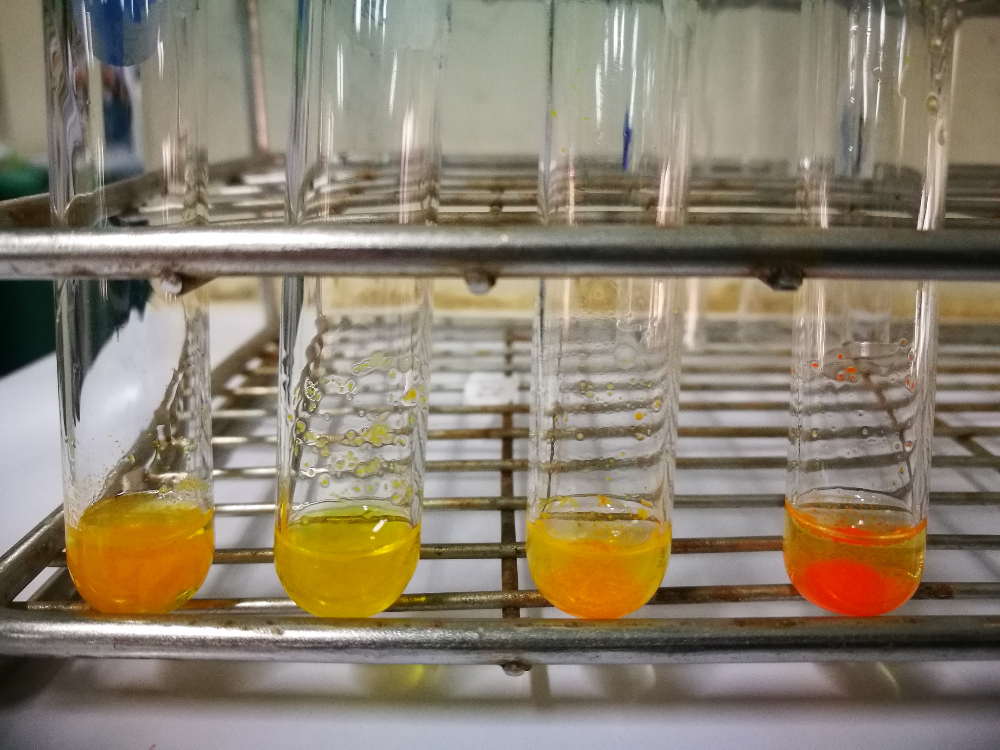 马铃薯样品制备与污染处理实验方法