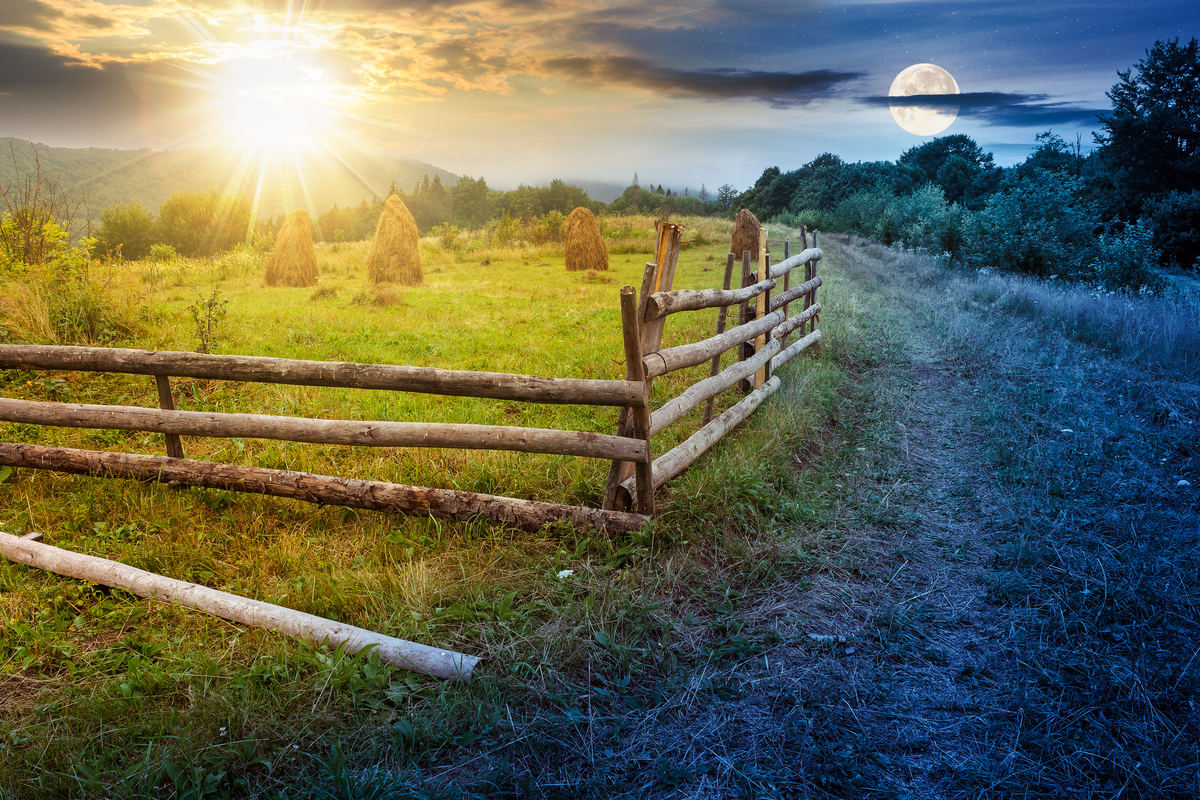 忙碌中迷失，别忘了欣赏沿途风景
