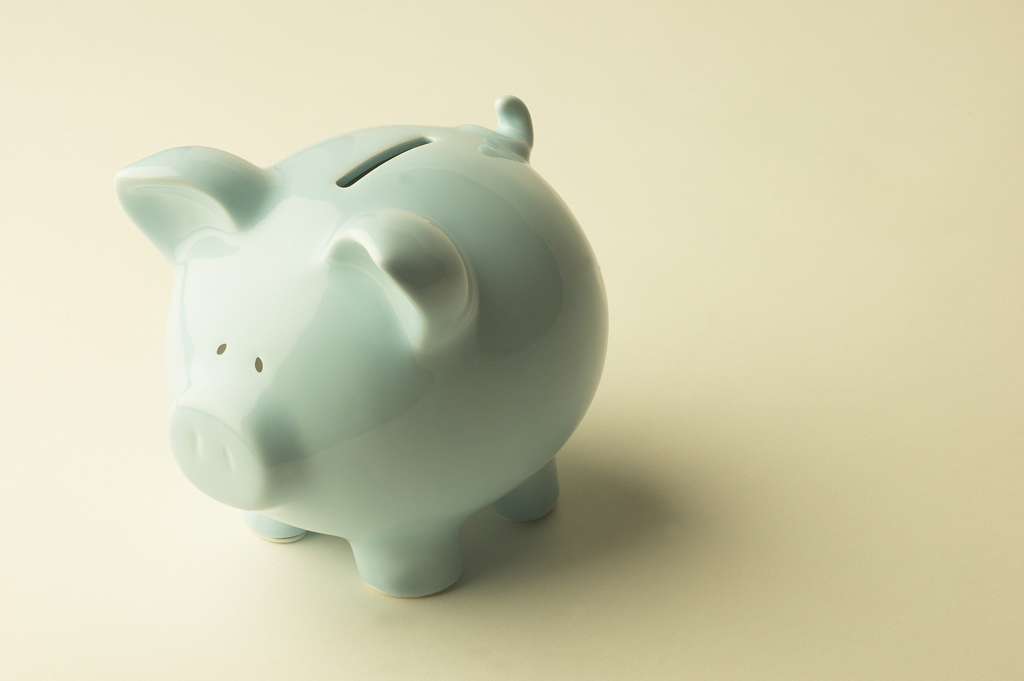 piggy bank