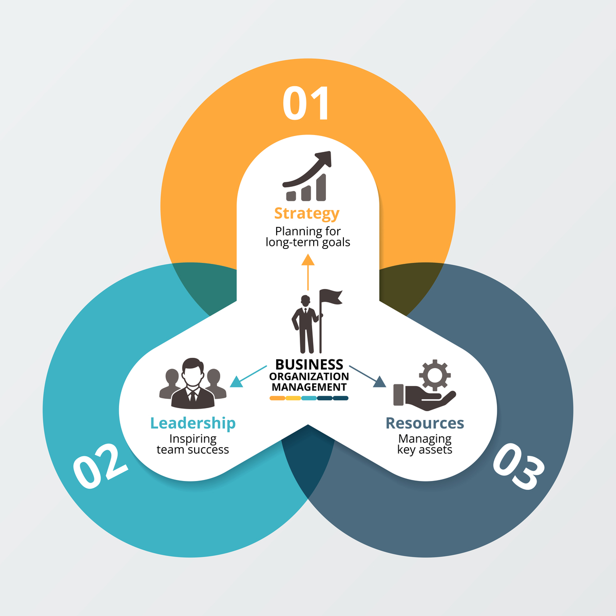 互联网金融专业公务员职业生涯规划：学习、团队协作、管理与发展