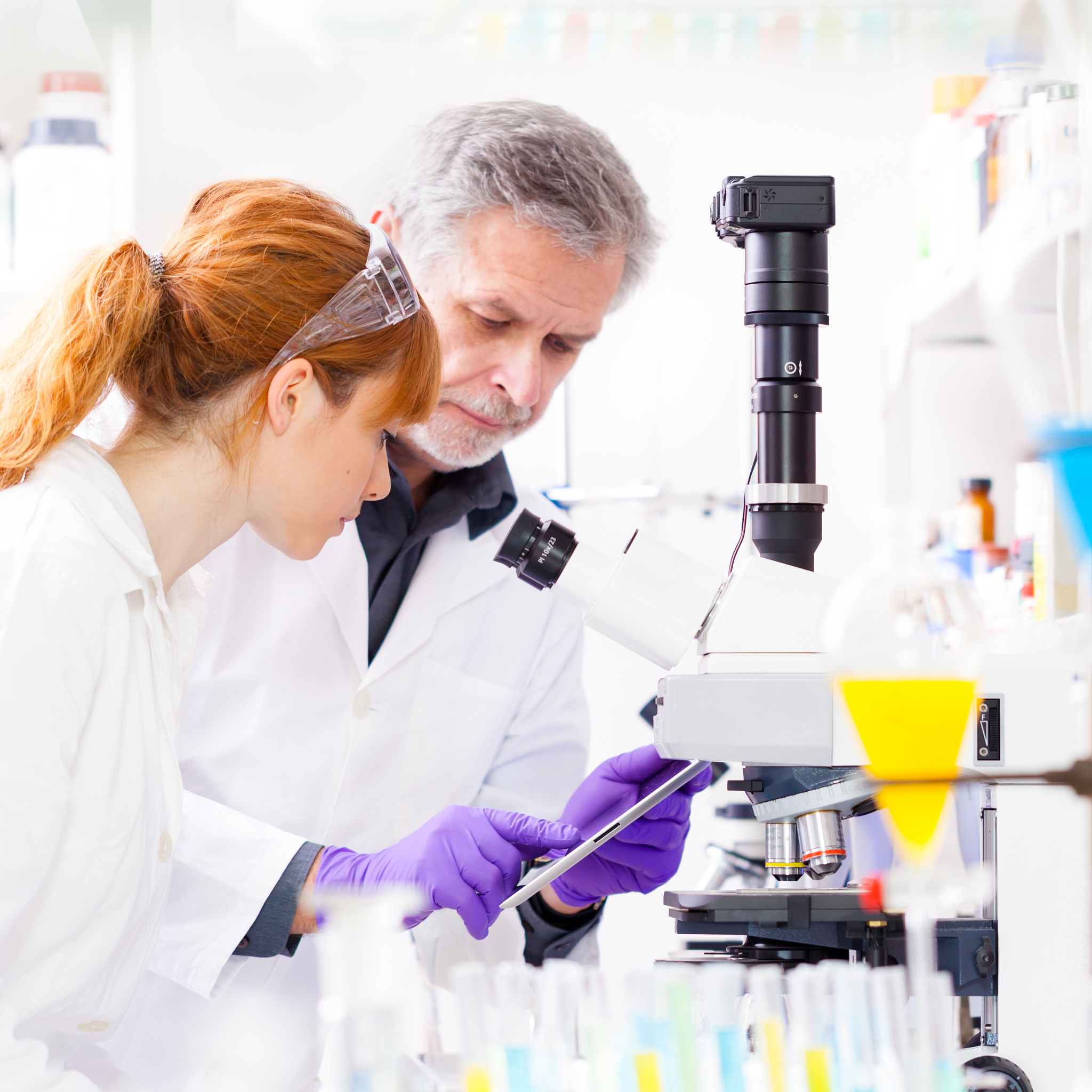 Stem Cell Reports期刊推荐理由？