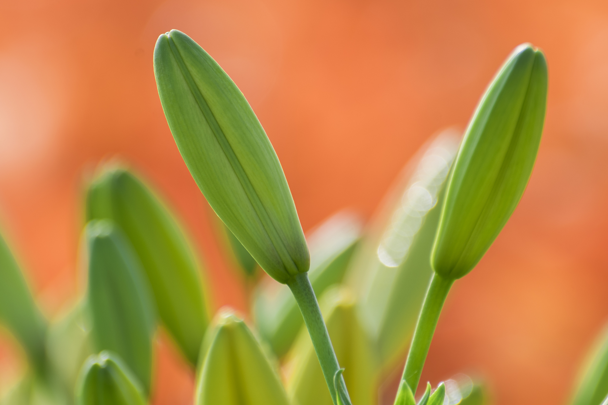 人生在世为欲所迷为欲所困可以说是我们人这种动物的本性。如果放任这种本性我们就会无止境地追求财富、地位和名誉就会沉湎于享乐