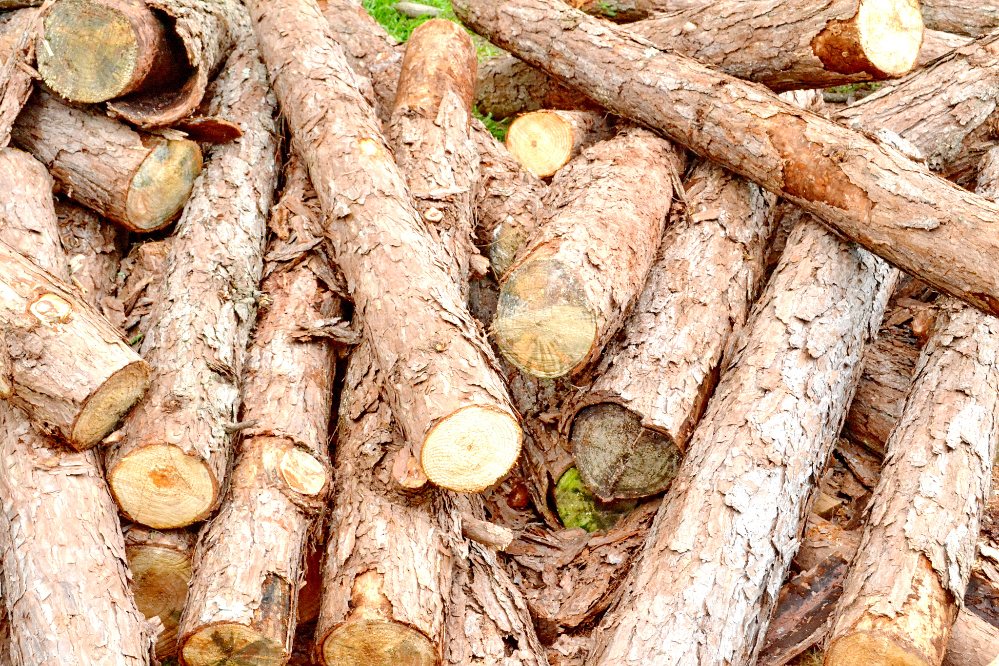 wood preparation