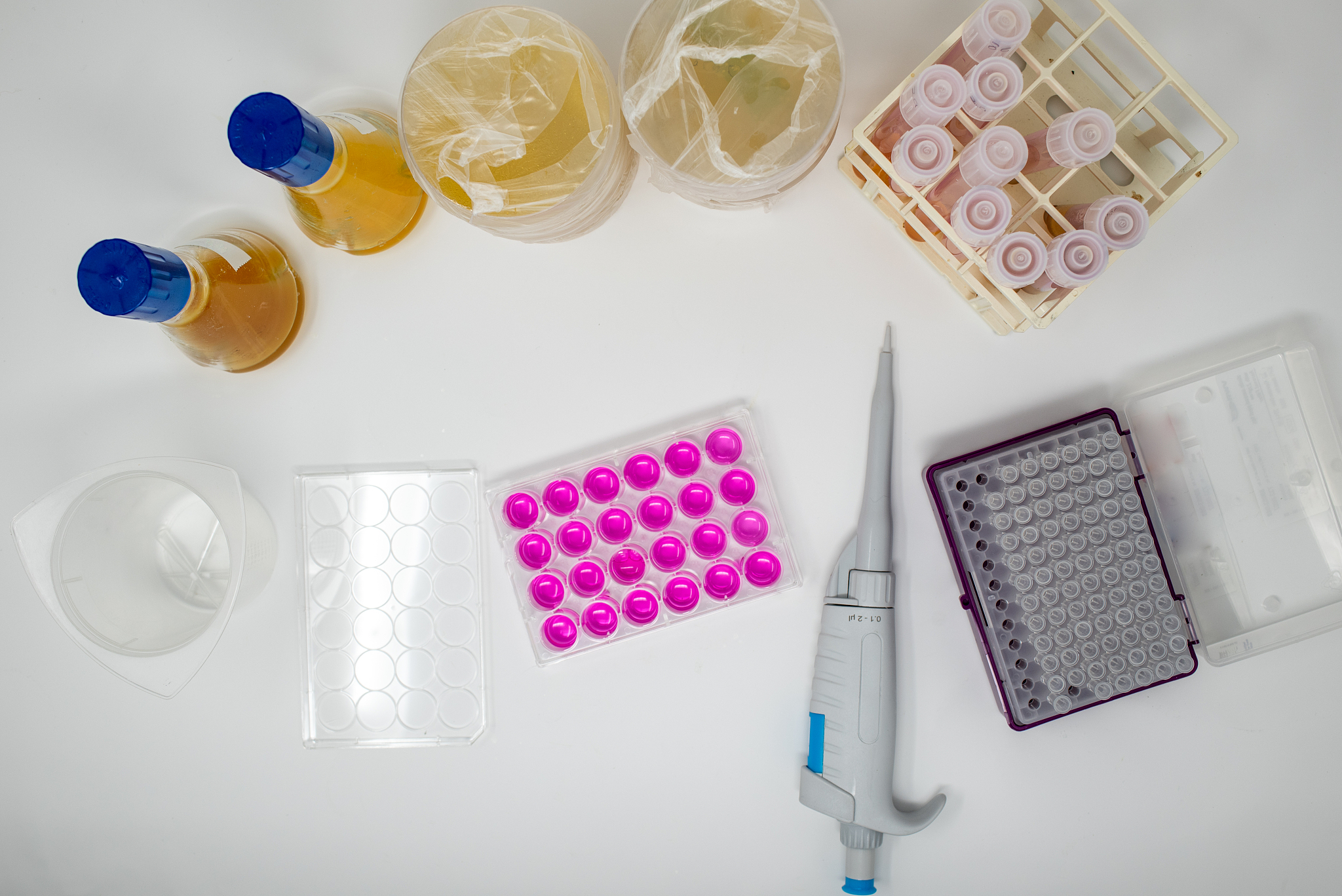 厦门2023新中考男生历史生物地理学什么专业好