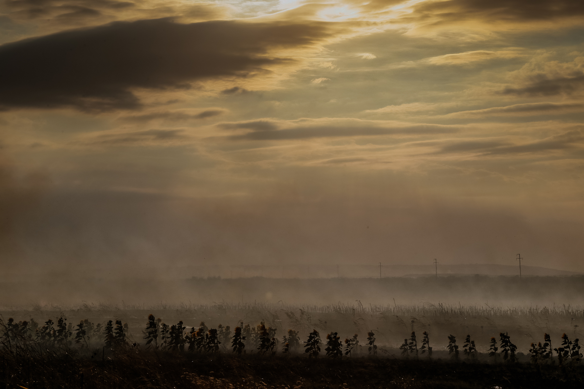 北京农学院农业资源与环境专业怎么样？特色、师资、就业前景解析