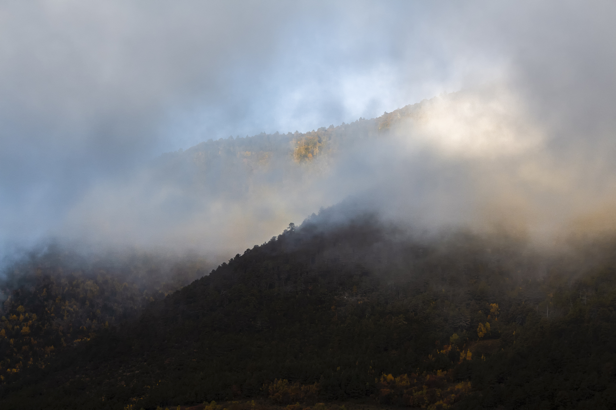 修仙小说：主角在秘境中逆袭翻盘的13种神奇经历