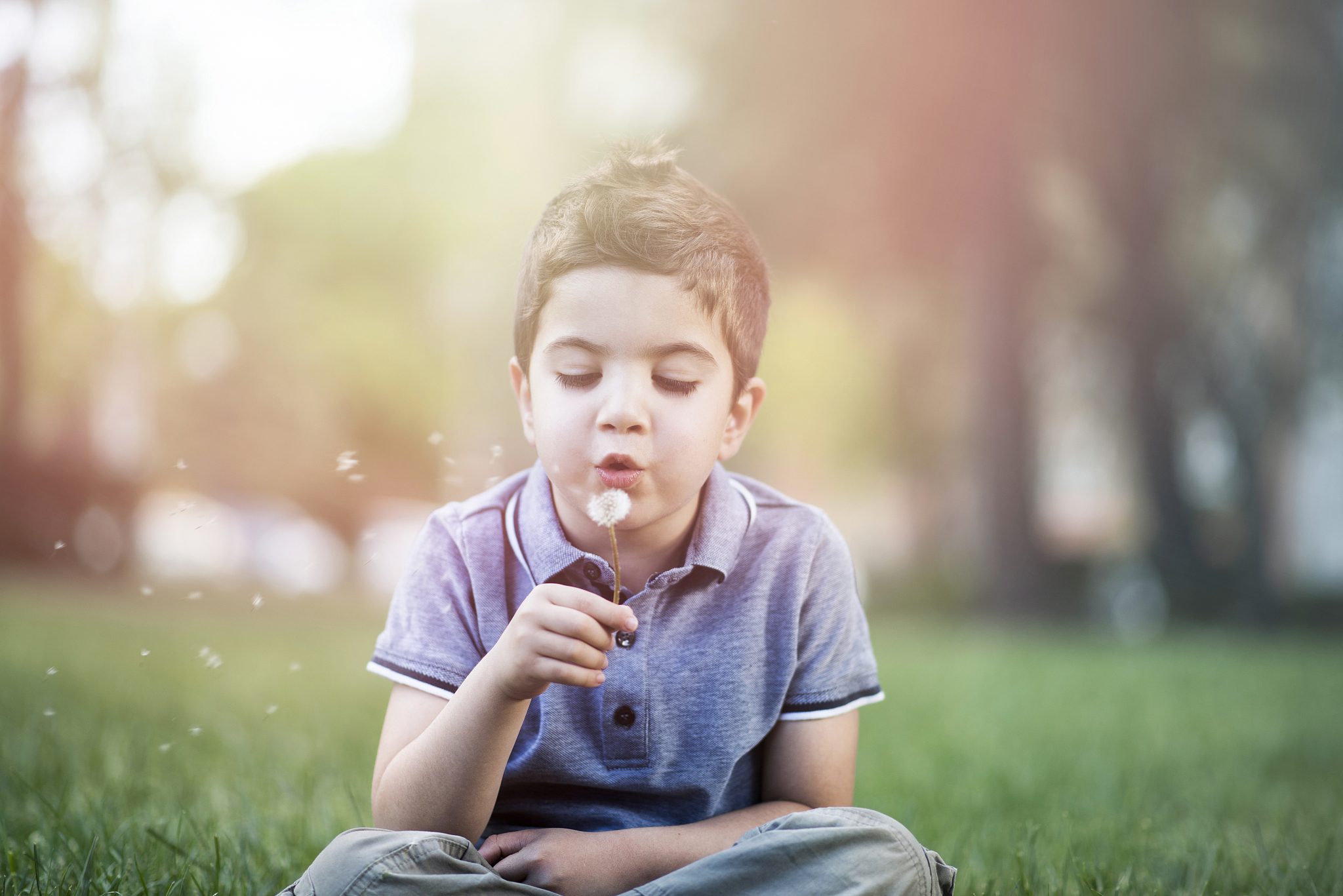 little boy blowing dandelion seeds in the park